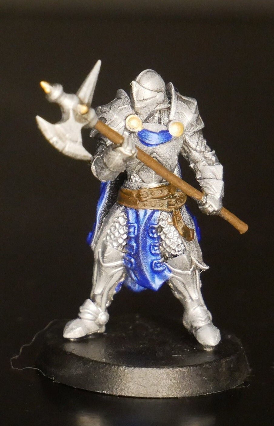 Custom painted Glaive fighter/paladin miniature | TTRPG | RPG | DND
