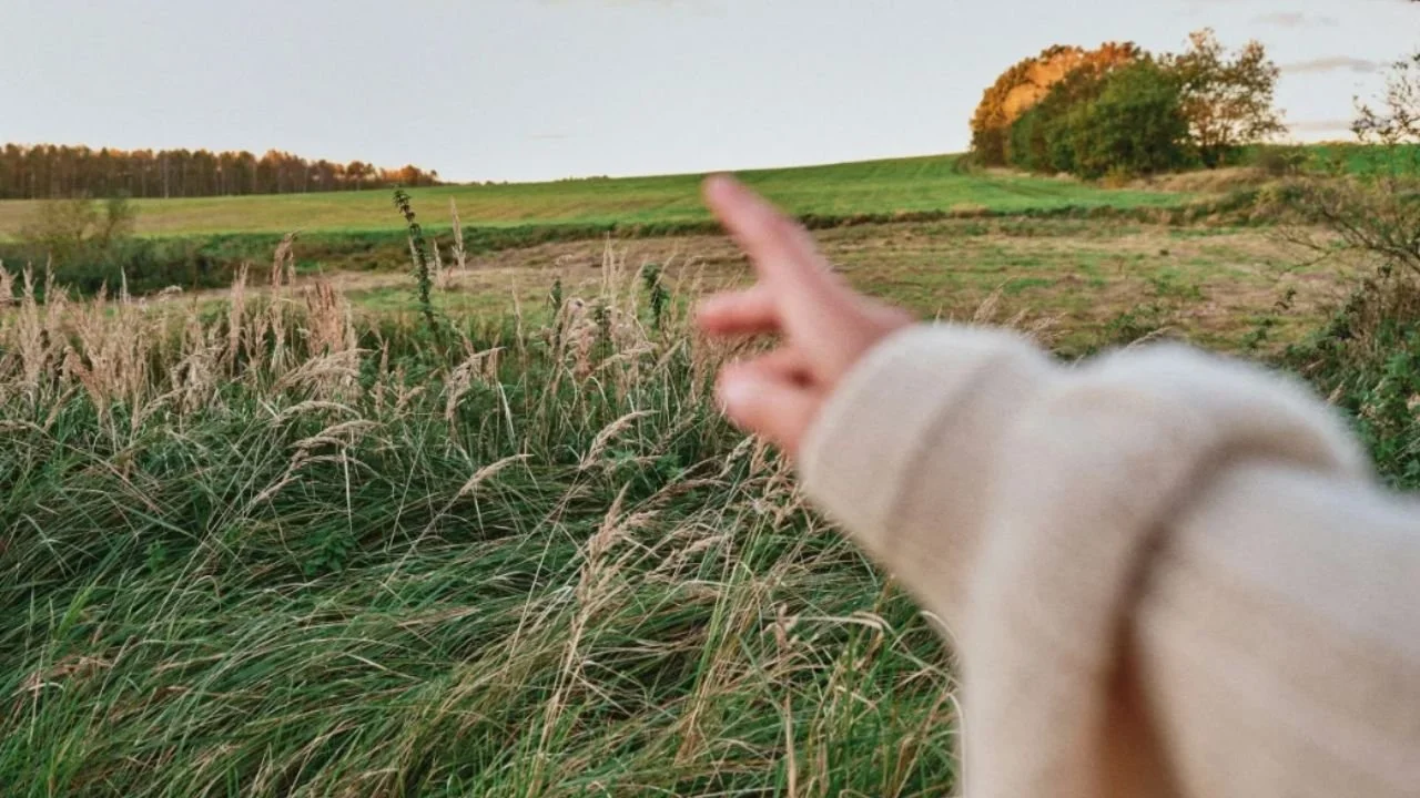 What Do I Want My Life to Look Like Now? How to Find Clarity When Everything's Changing 