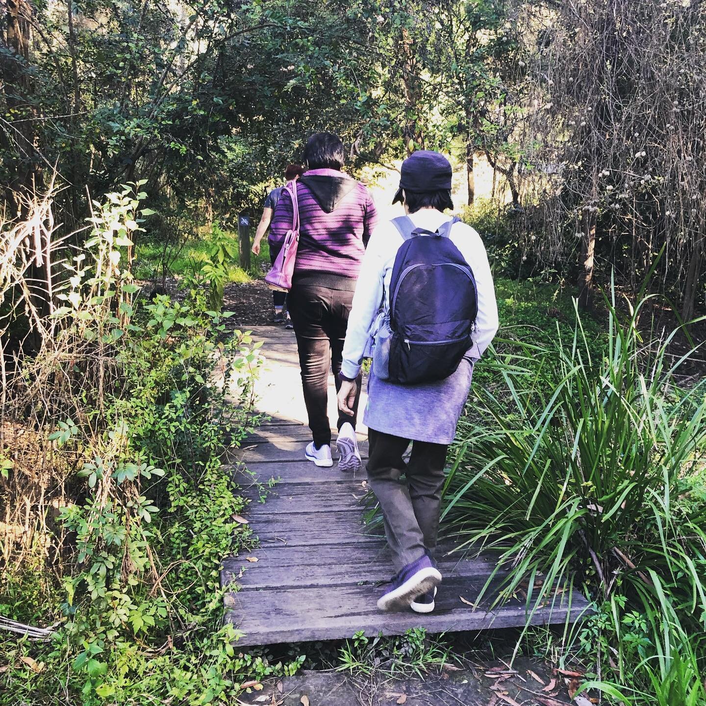 That&rsquo;s a wrap! Our discovery tour of Lane Cove National Park was the final event of MOVE Mac Park festival 2021. Ranger Steve from @nswnationalparks guided us through the beautiful bush lands right on the doorstep of Macquarie Park - so much to
