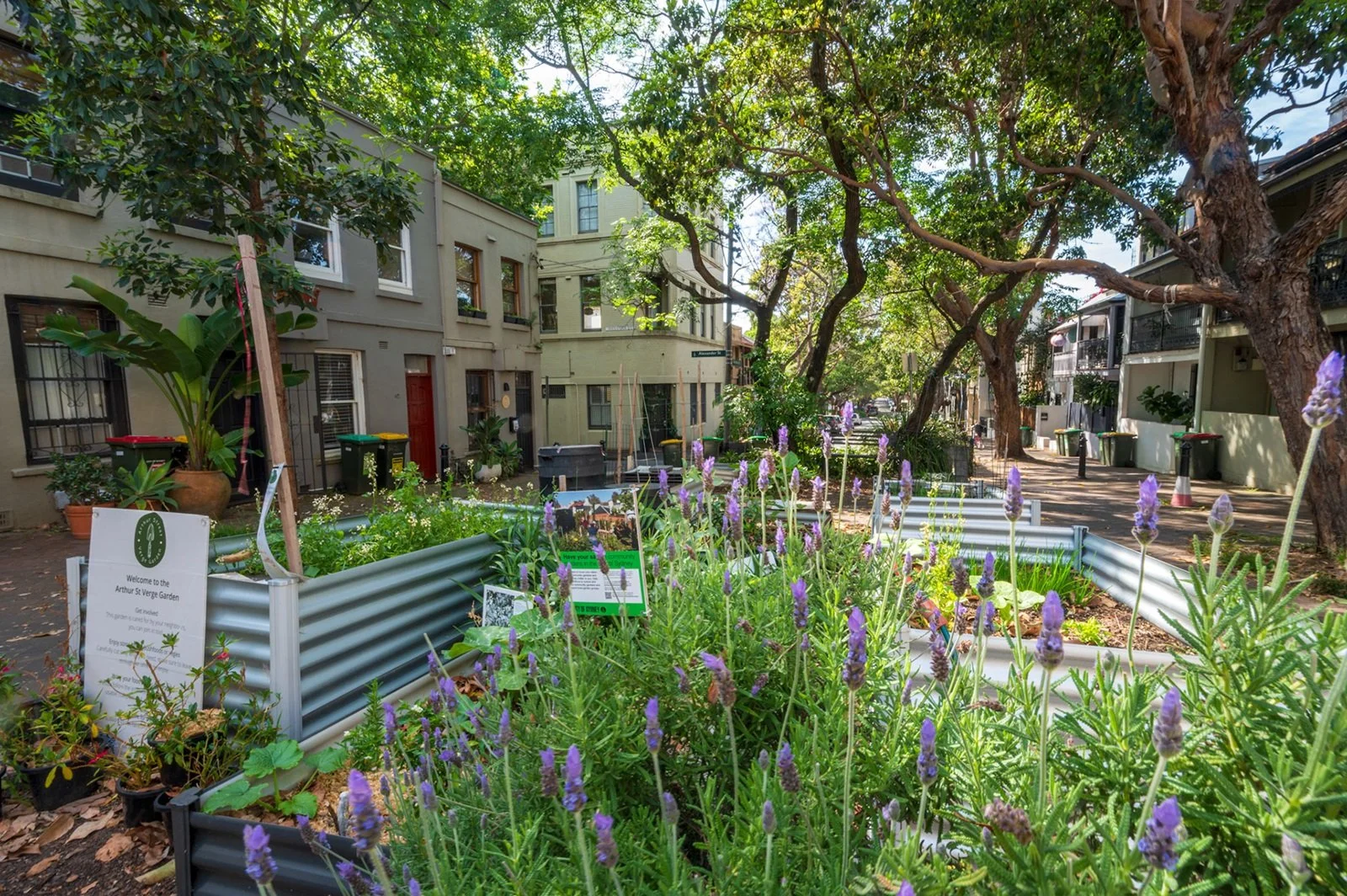 Verge Gardens: How can law help secure verge gardens as part of a more sustainable and liveable urban landscape?