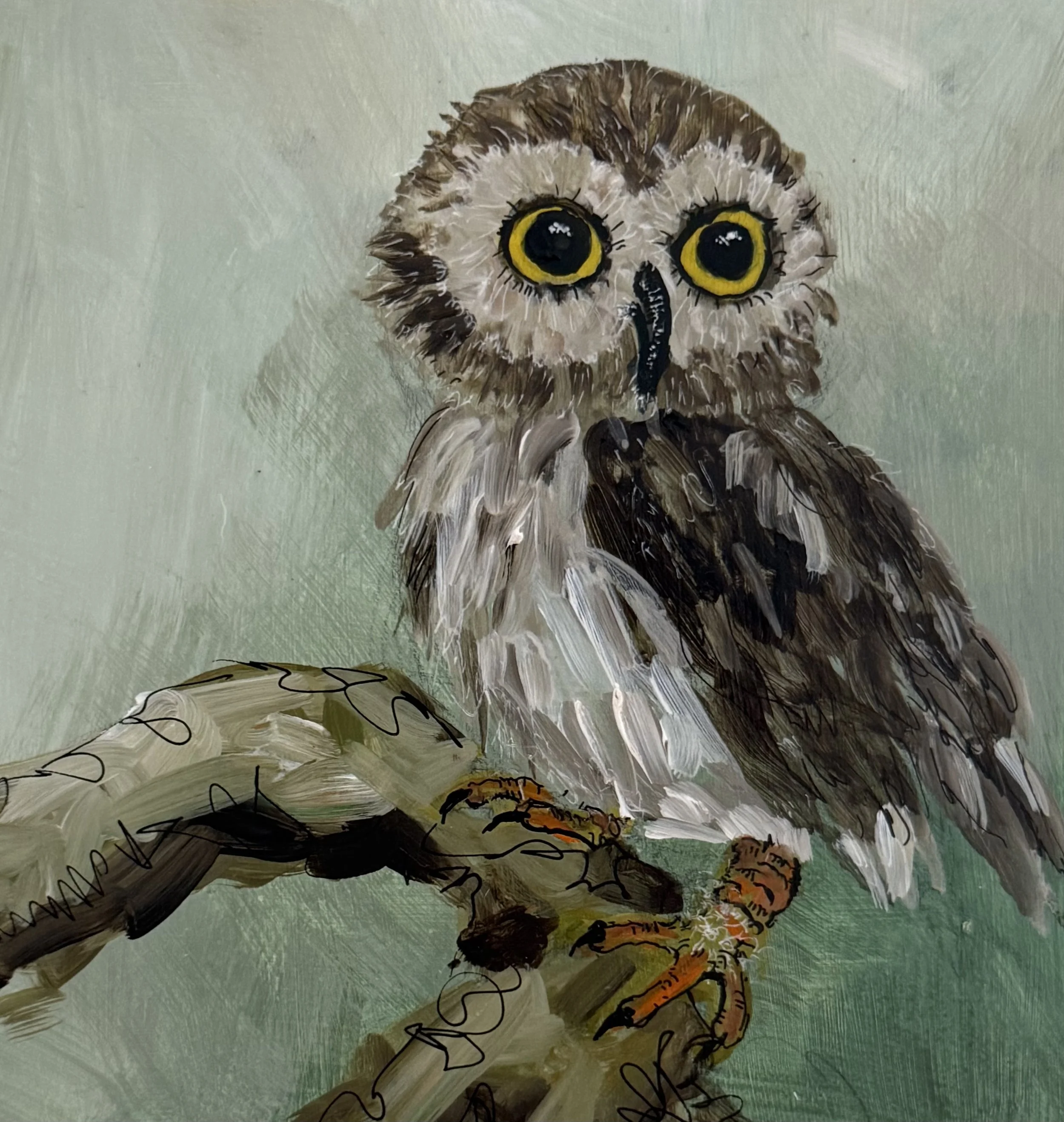 An Owl for Luck