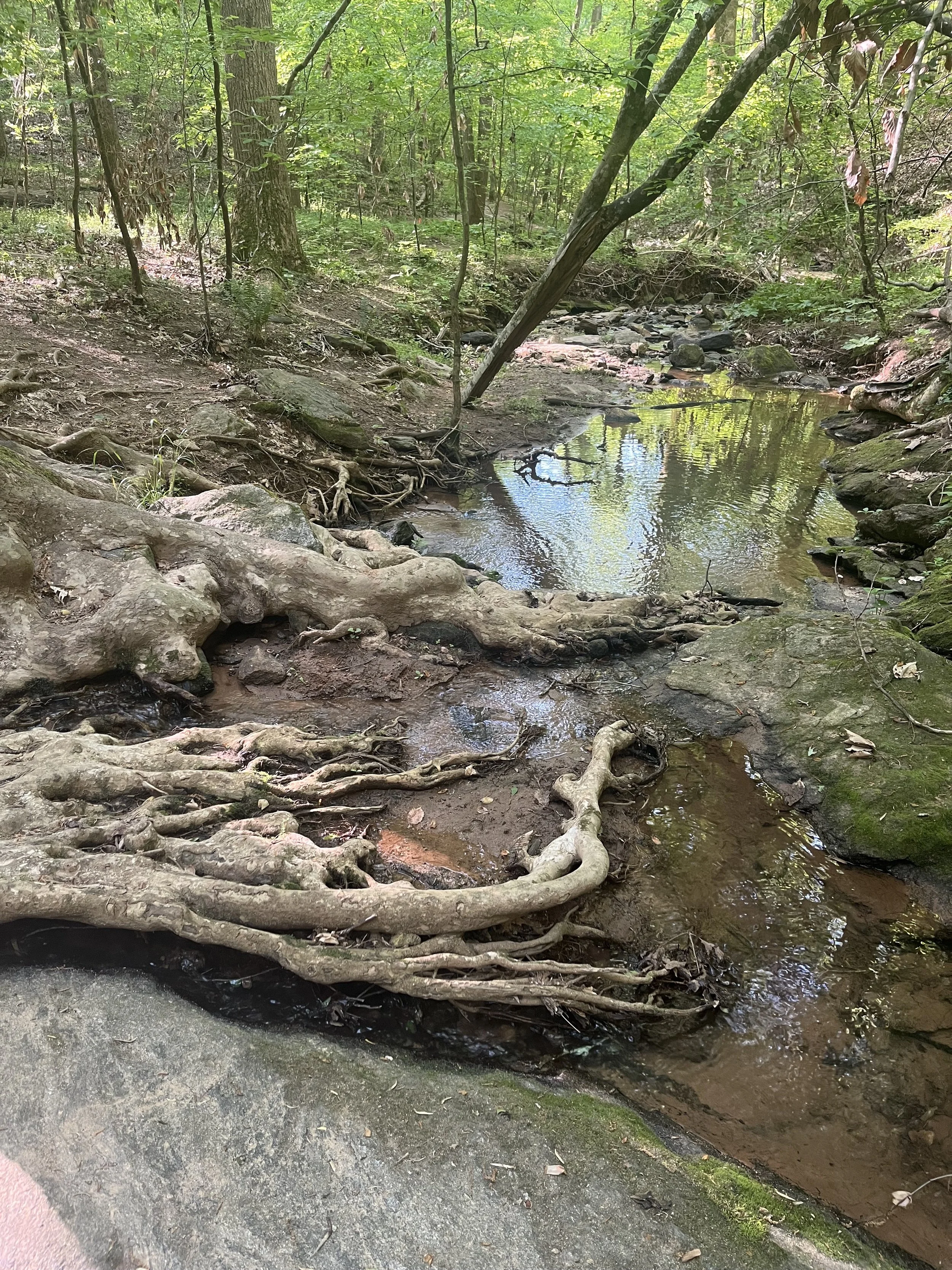 Finding Quiet and Stillness When Things are Hard - A 21-Minute Guided Session