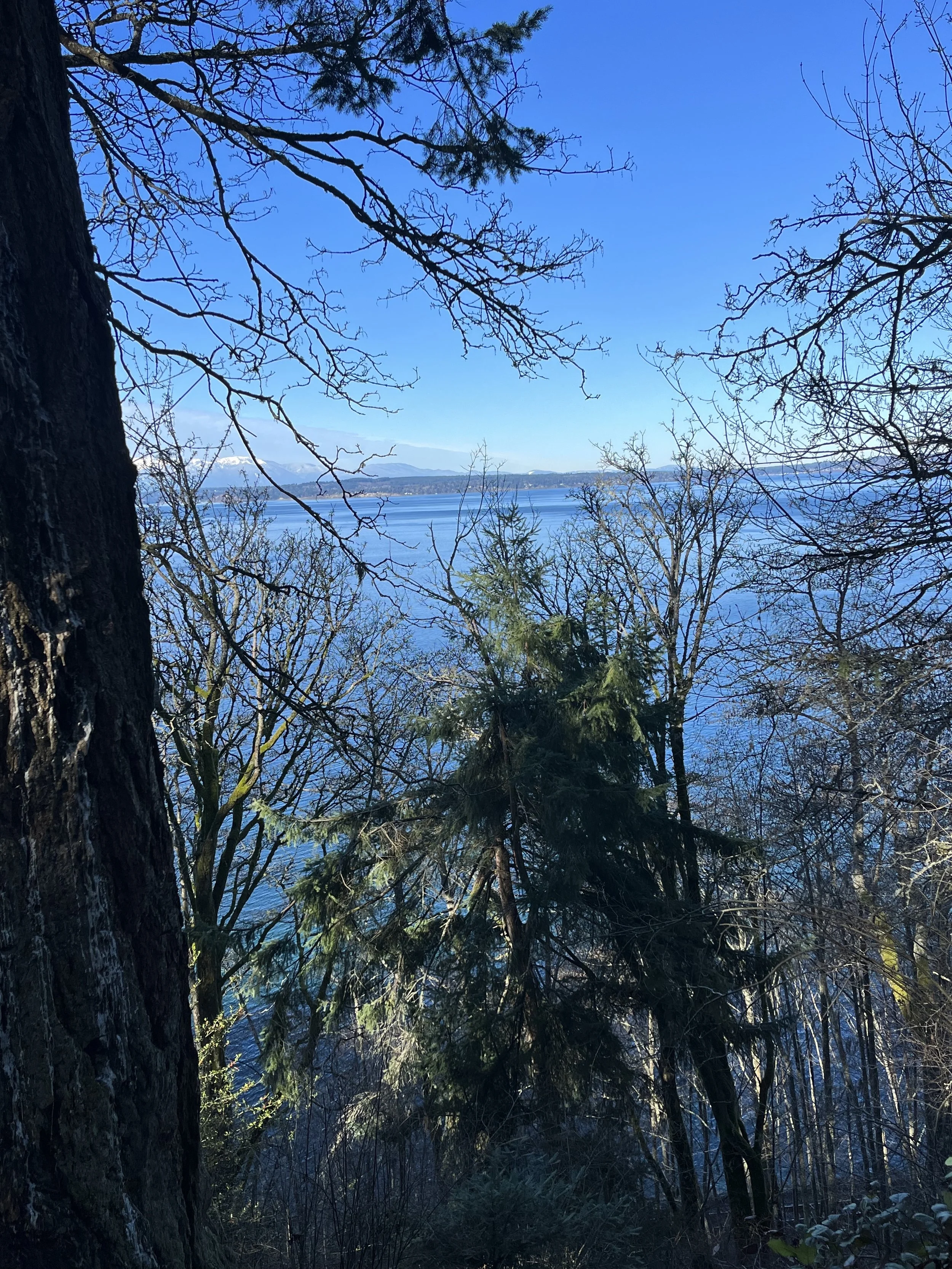 Love Meditation at Carkeek - A 19-Minute Guided Meditation for Love
