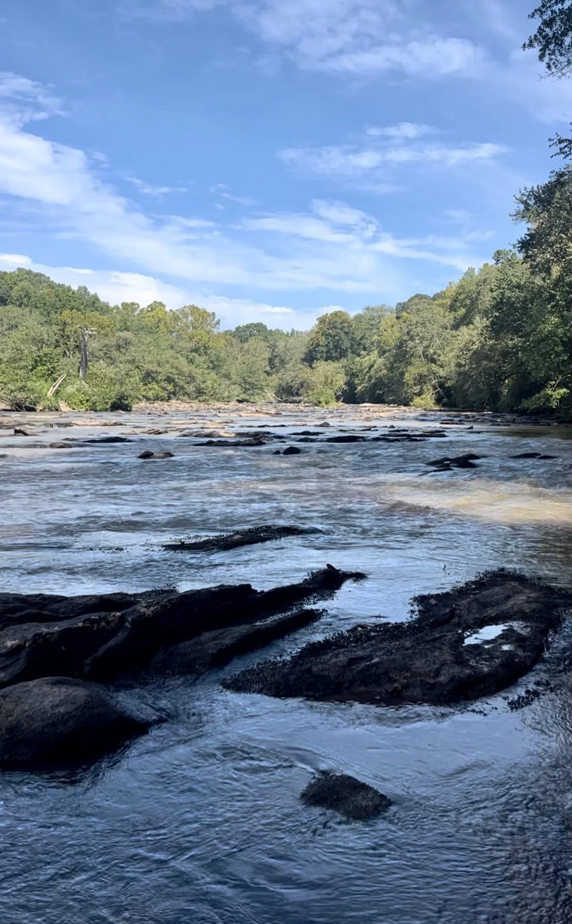 Welcome to the Woods - A Walking Meditation to Slow Down