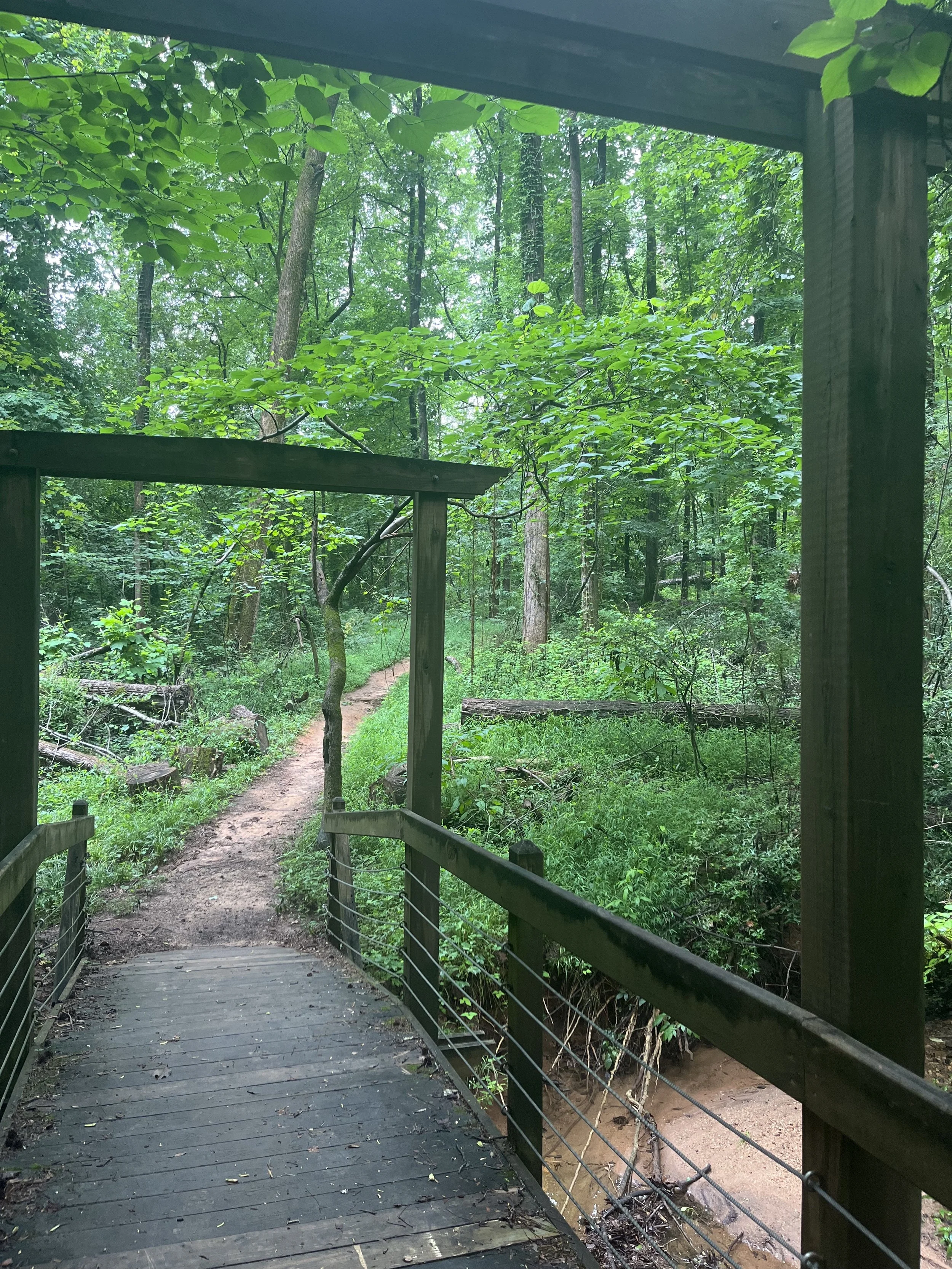 A Rainy Meditation on Anger - A Guided Session on Releasing Angry Energy