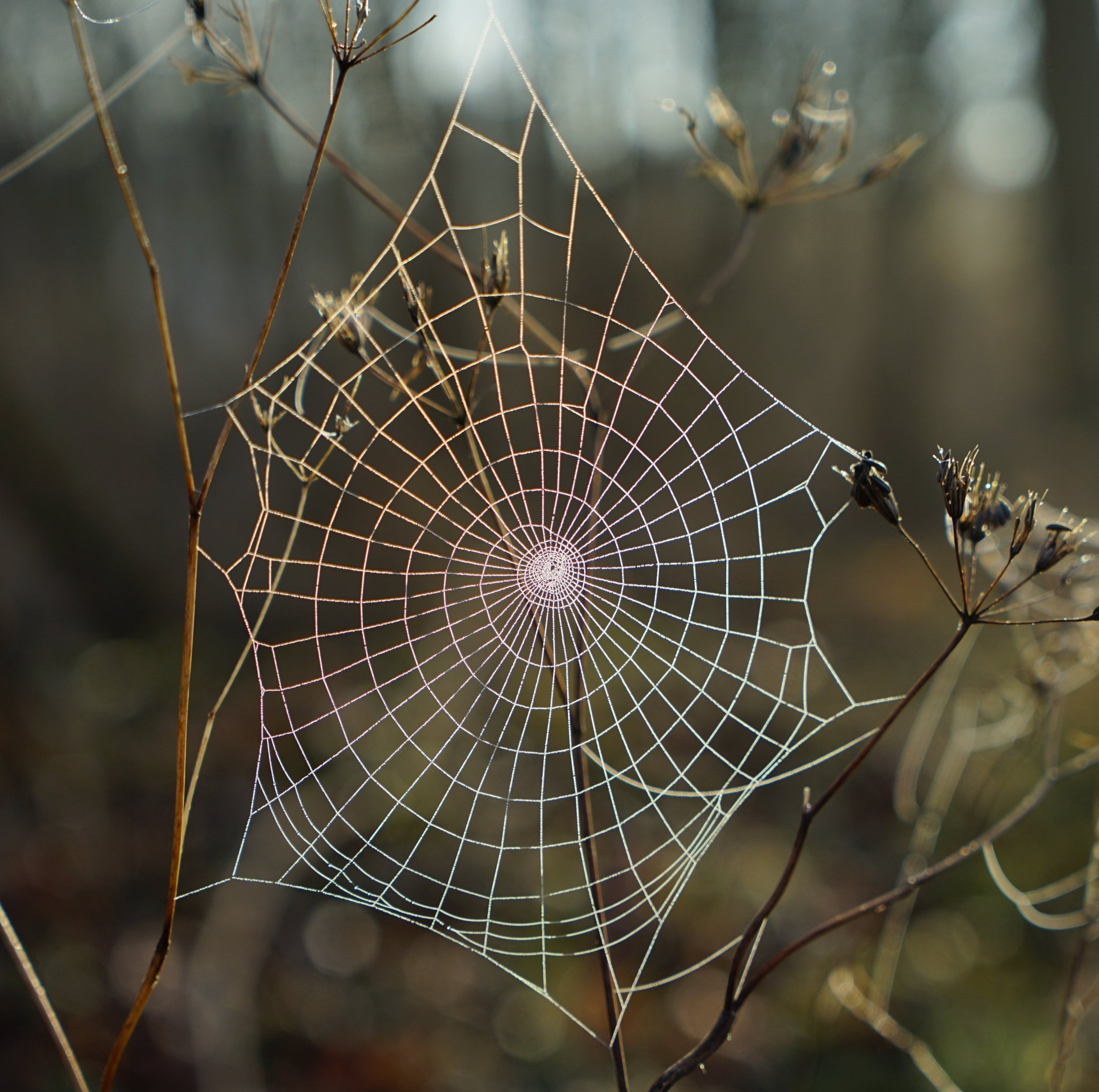 Changing complex systems