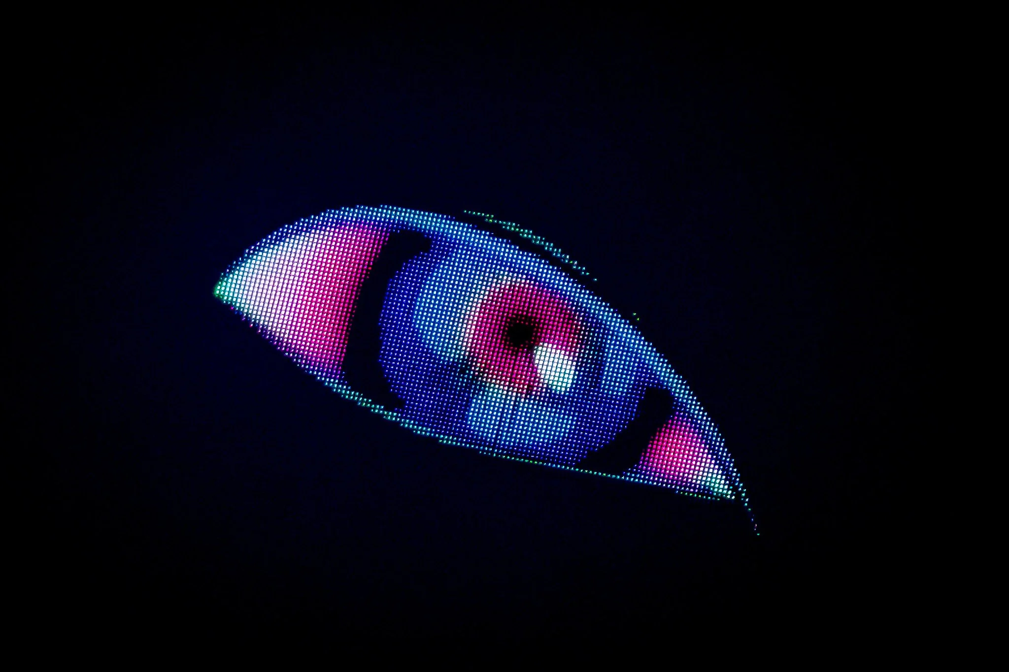 DSCF7198.jpg