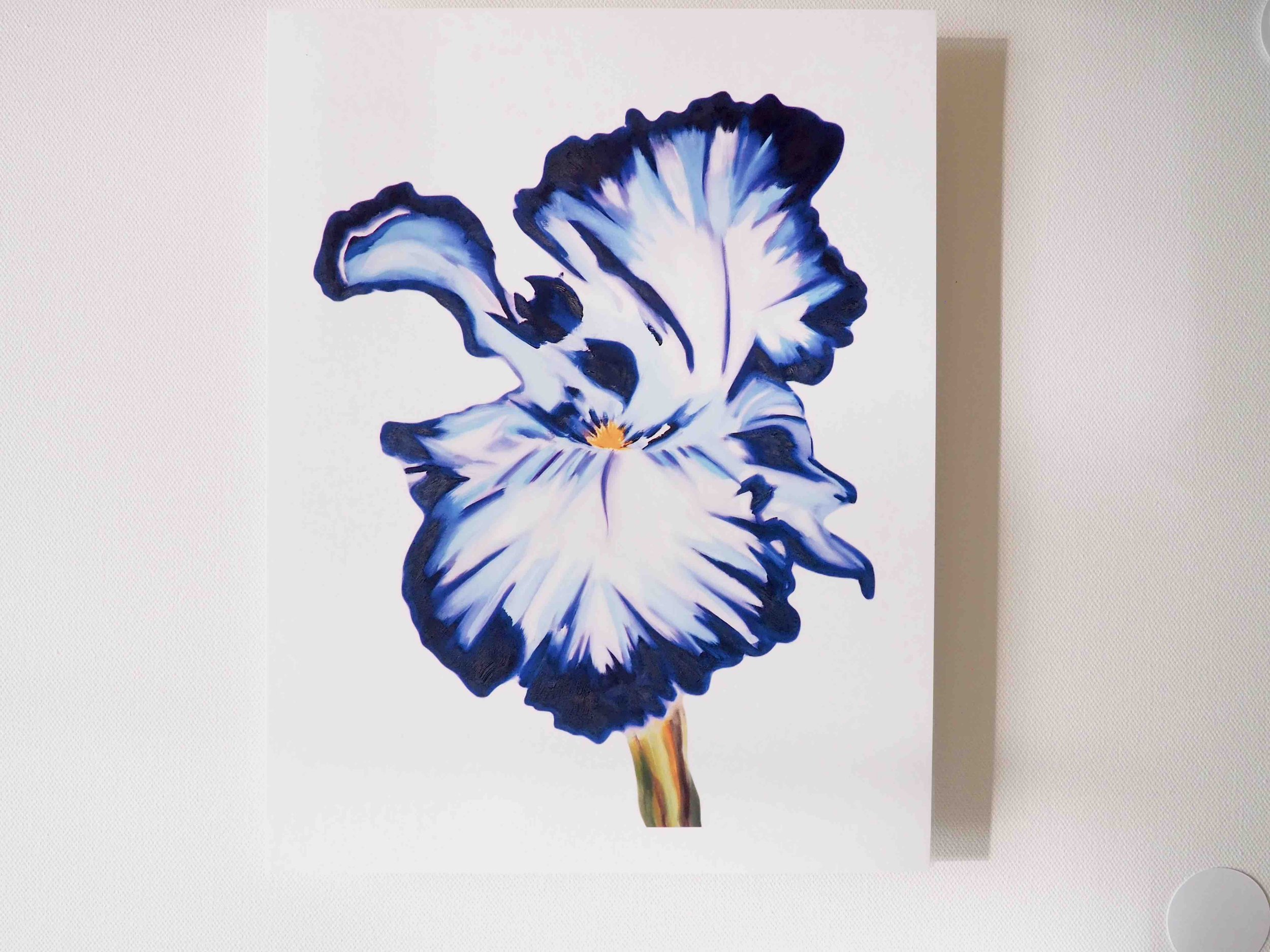 Iris 8x10 art print.jpg