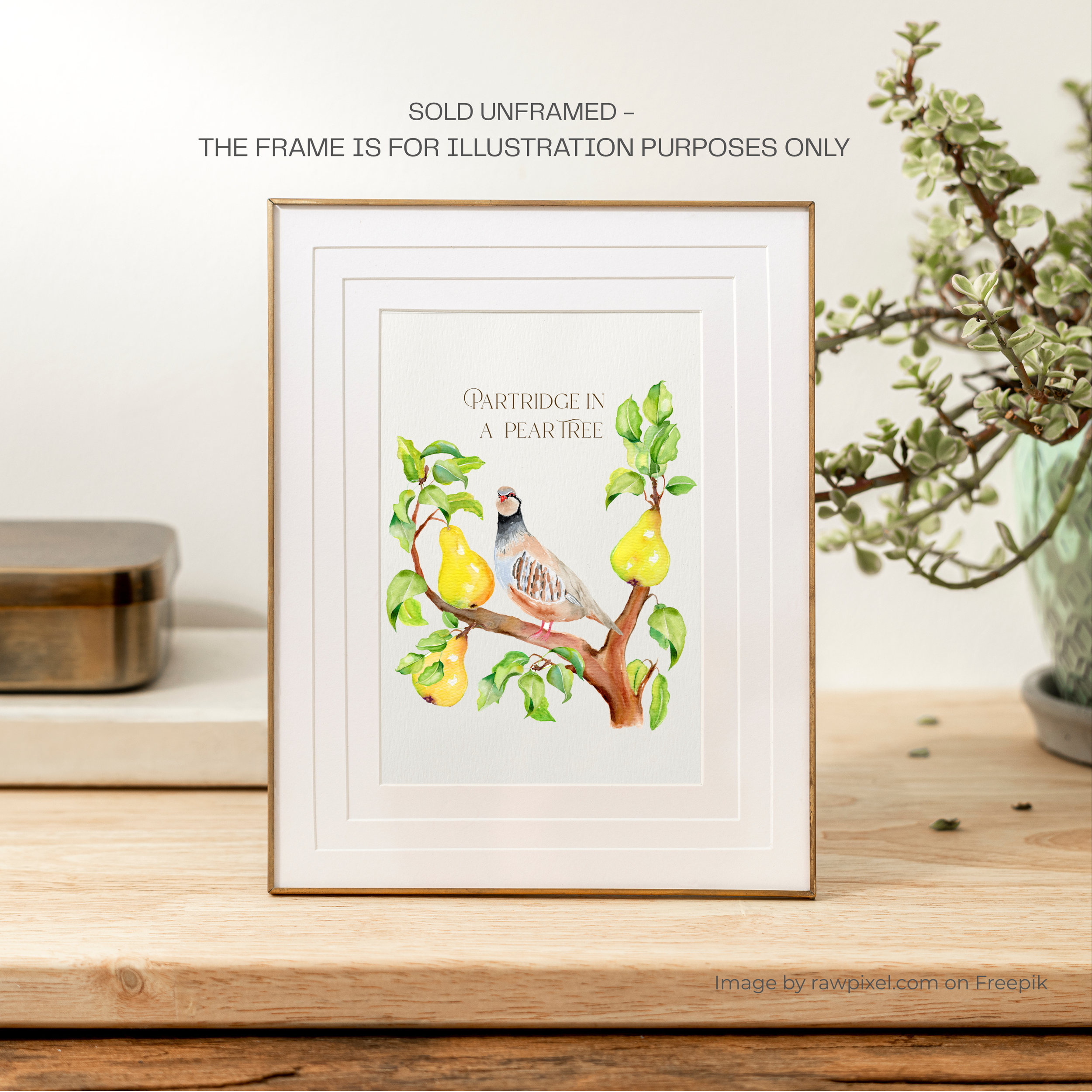 Partridge in a pear tree Art Print