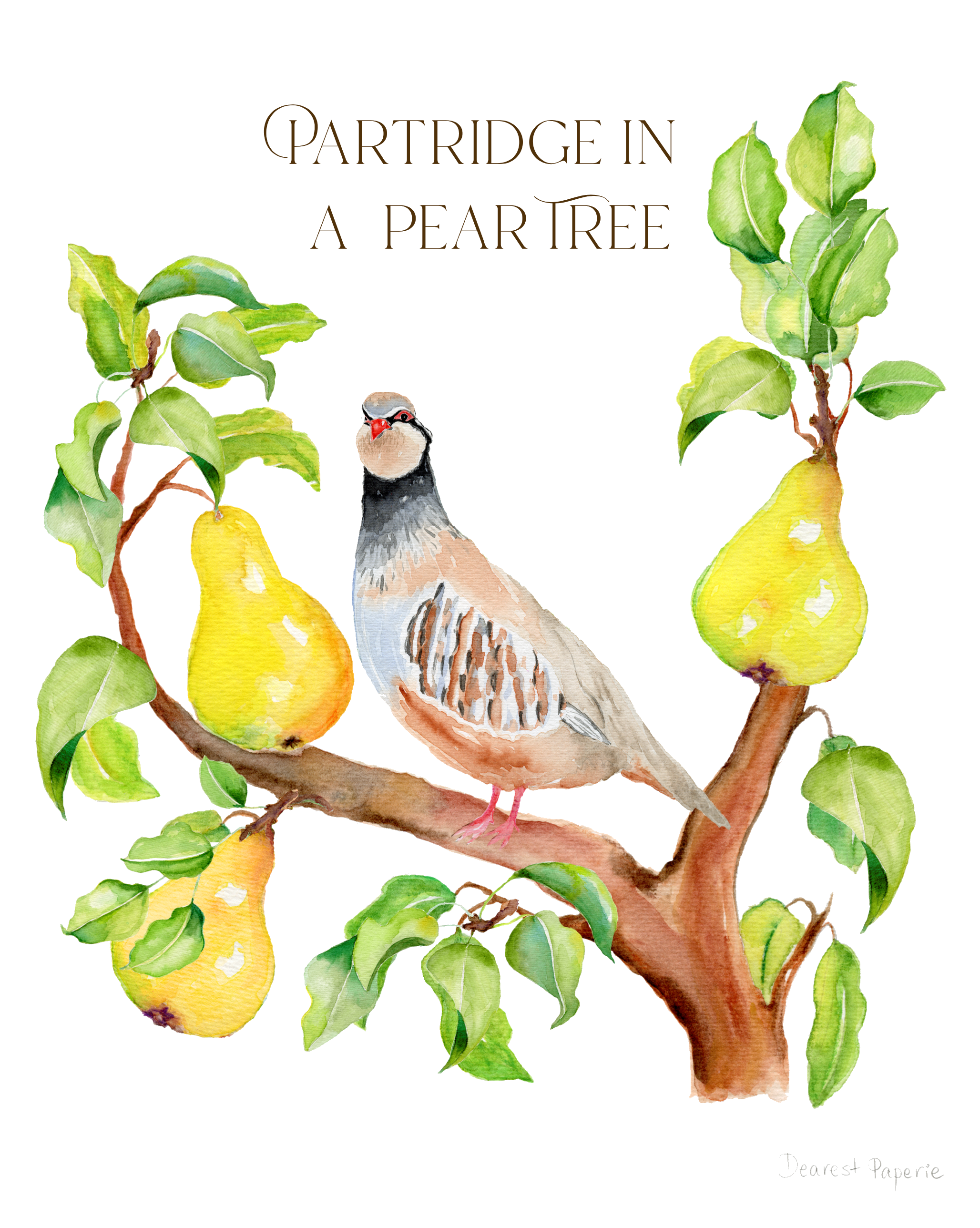 Screenshot 2025-12-08 at 10.41.10 AM.png