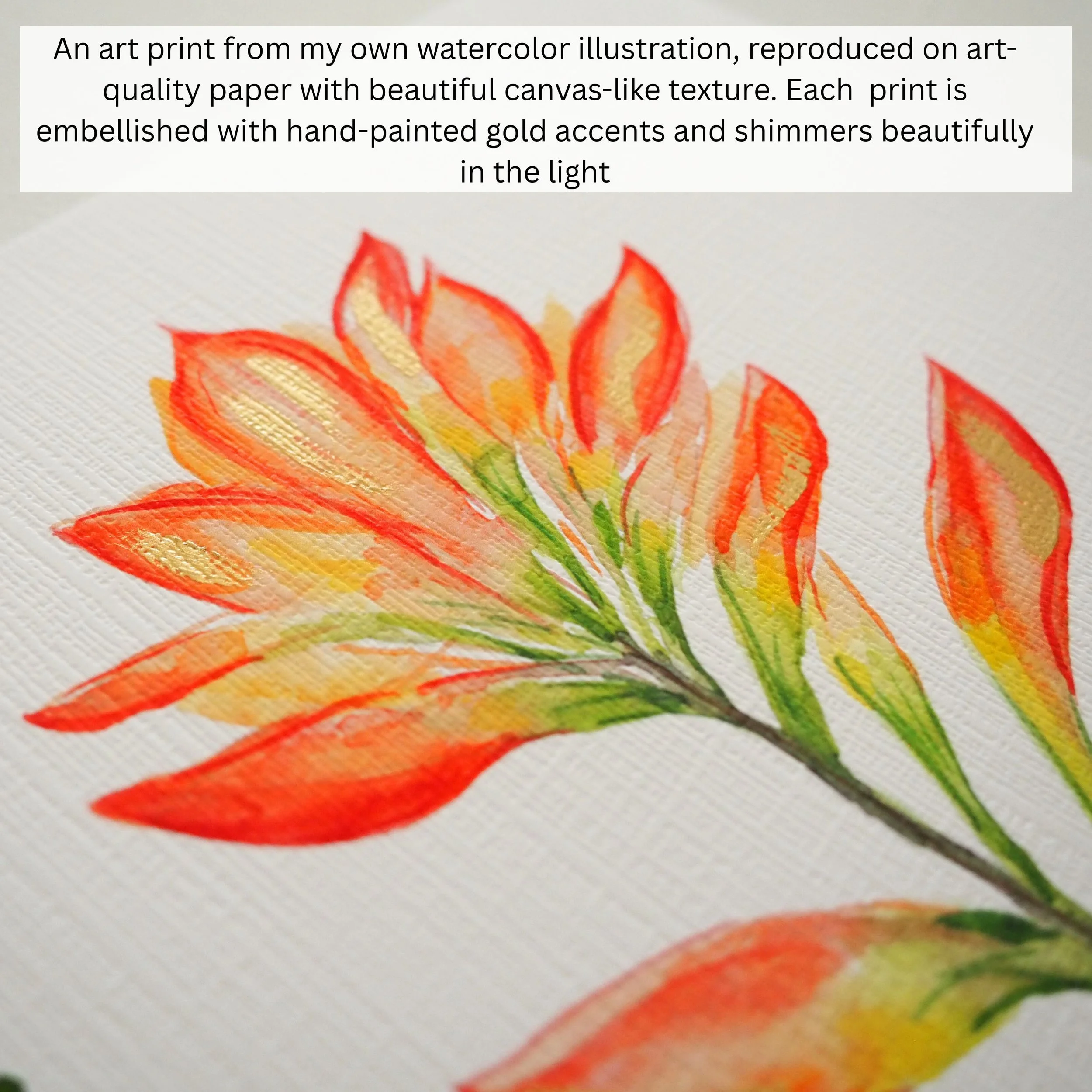 Indian Paintbrush Art Print square listing.jpg