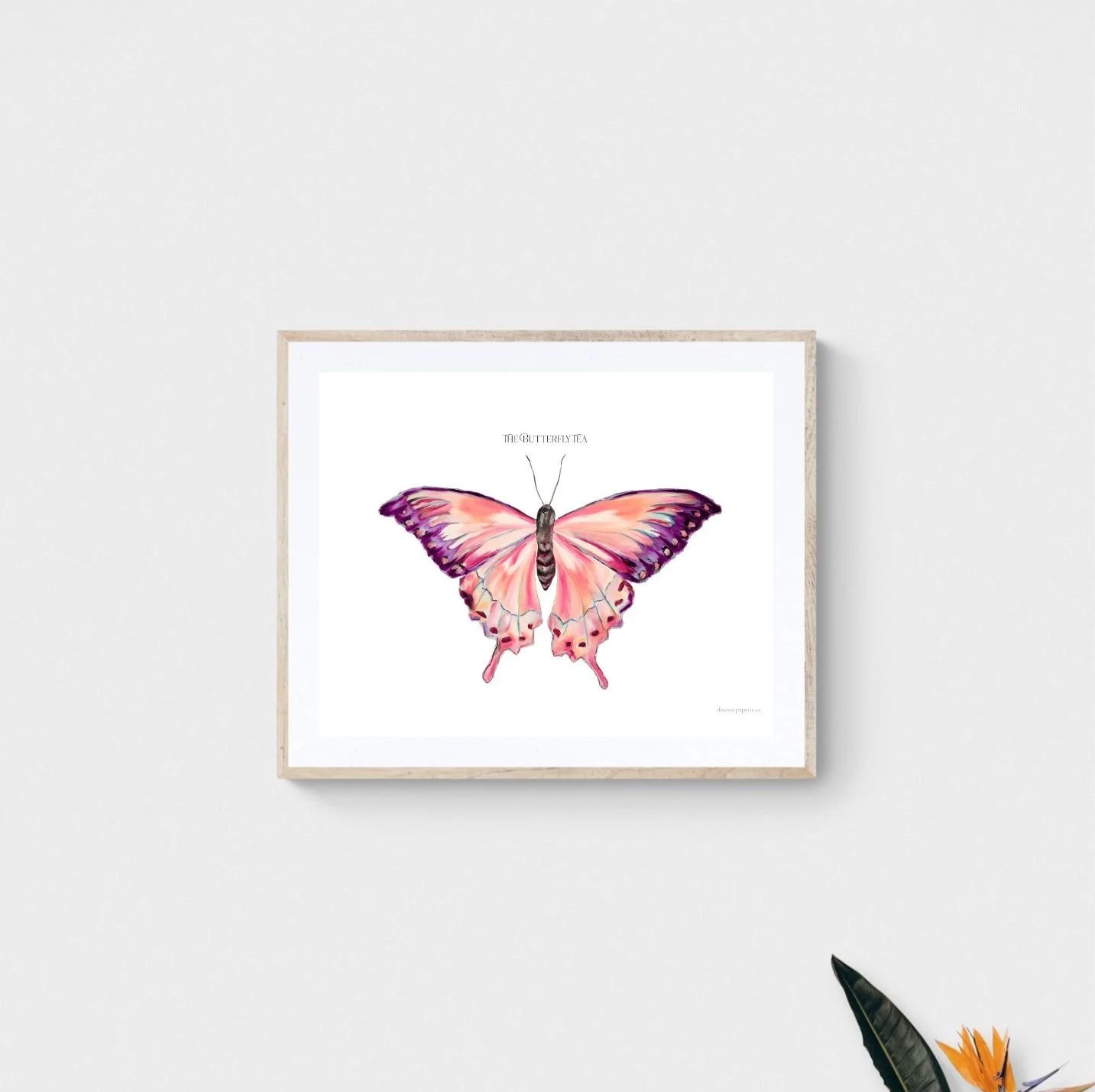 Butterfly Art Print