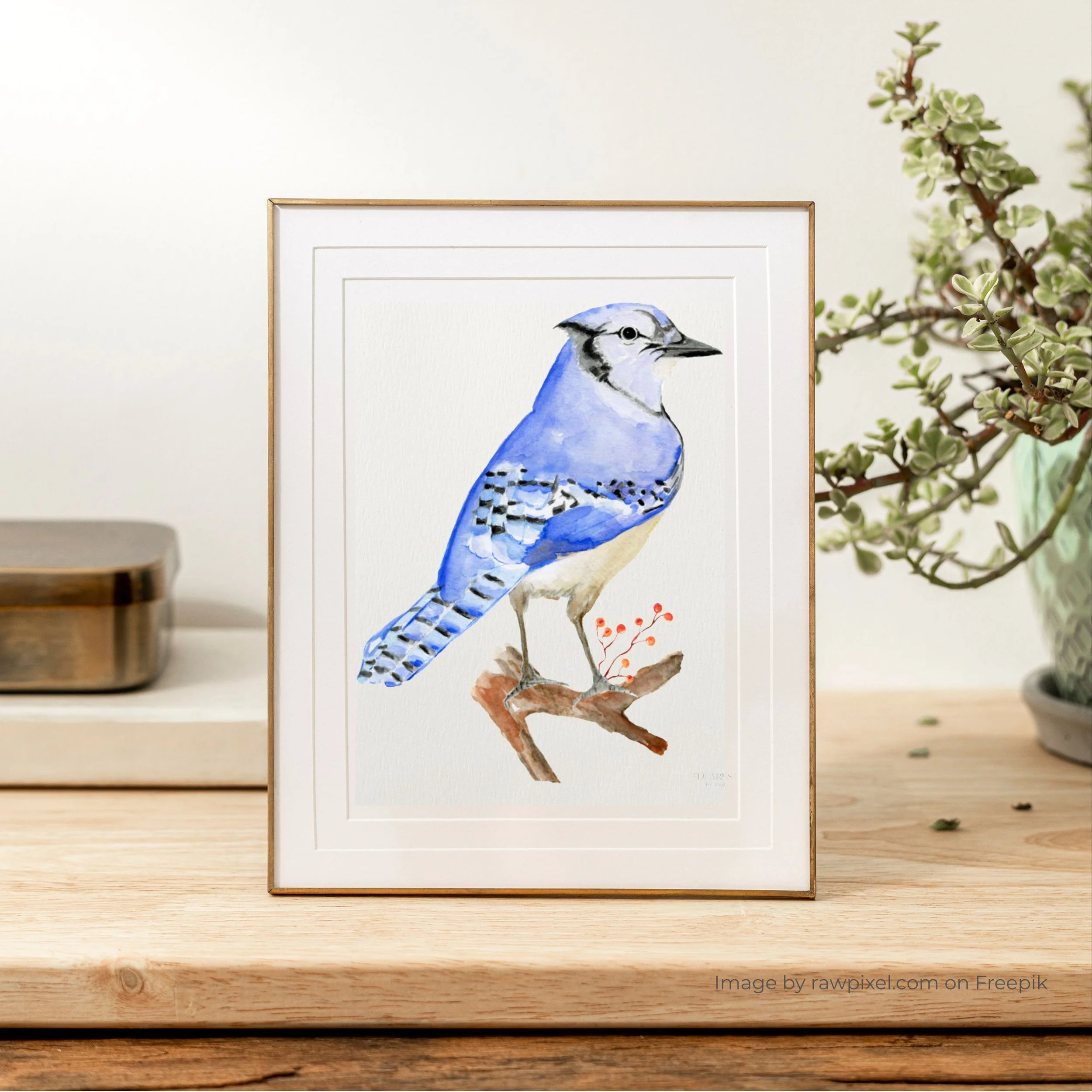 Blue Jay Art Print