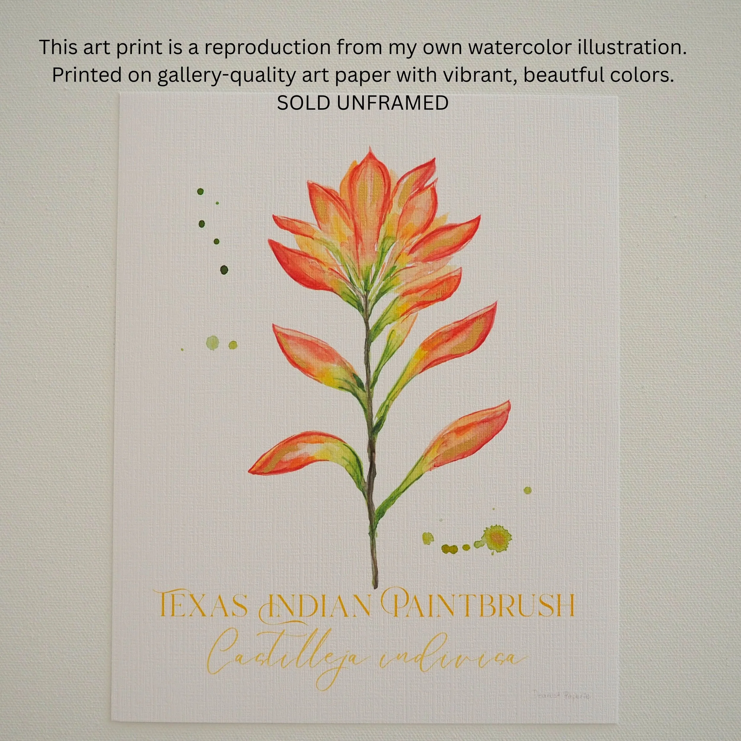 Indian Paintbrush Art Print square listing (1).jpg
