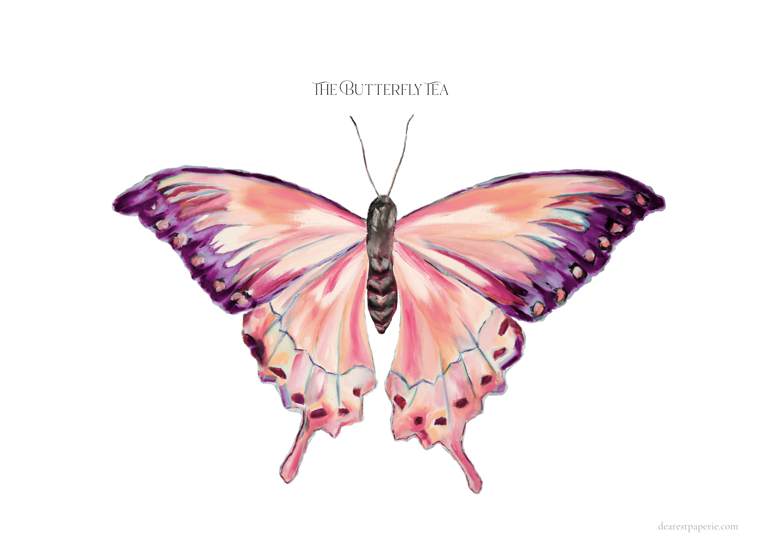 Screenshot 2026-01-21 at 8.43.42 PM.png