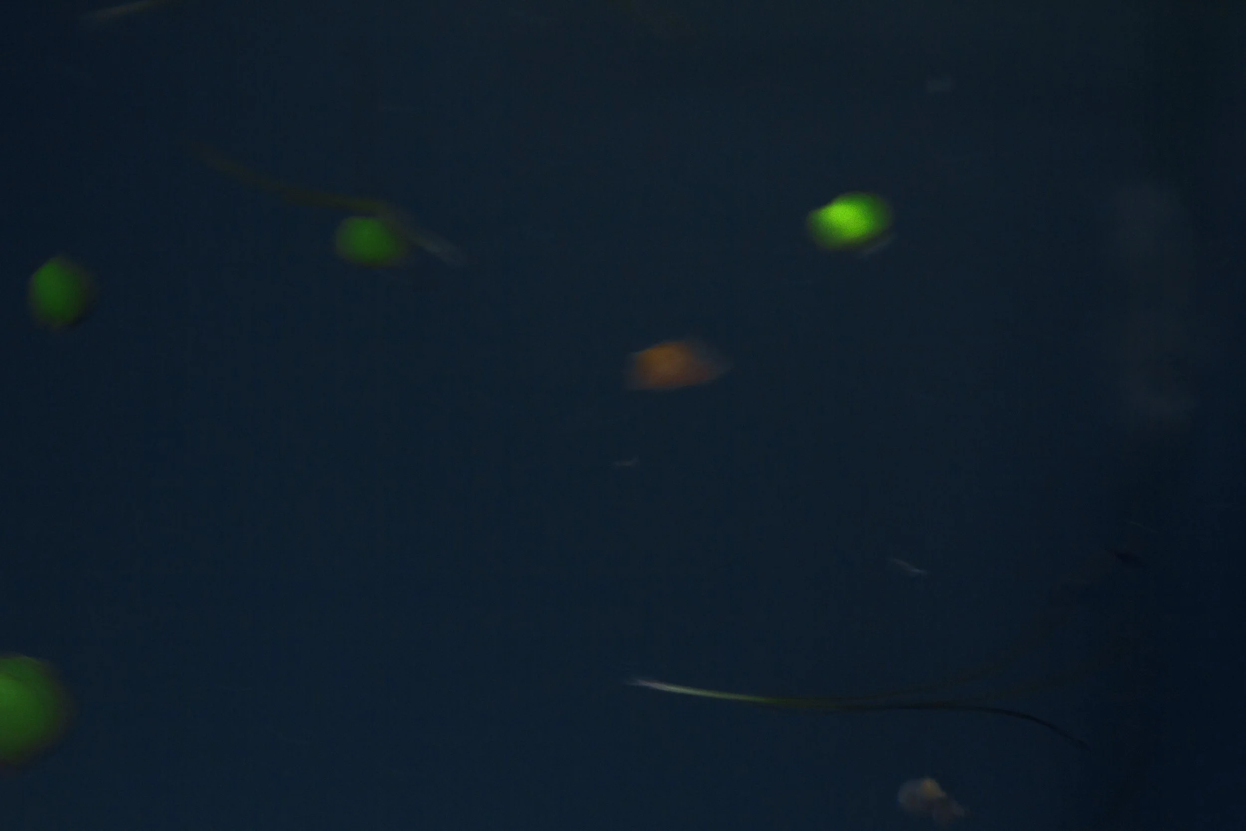 THE SMALL BEGINNING
2025