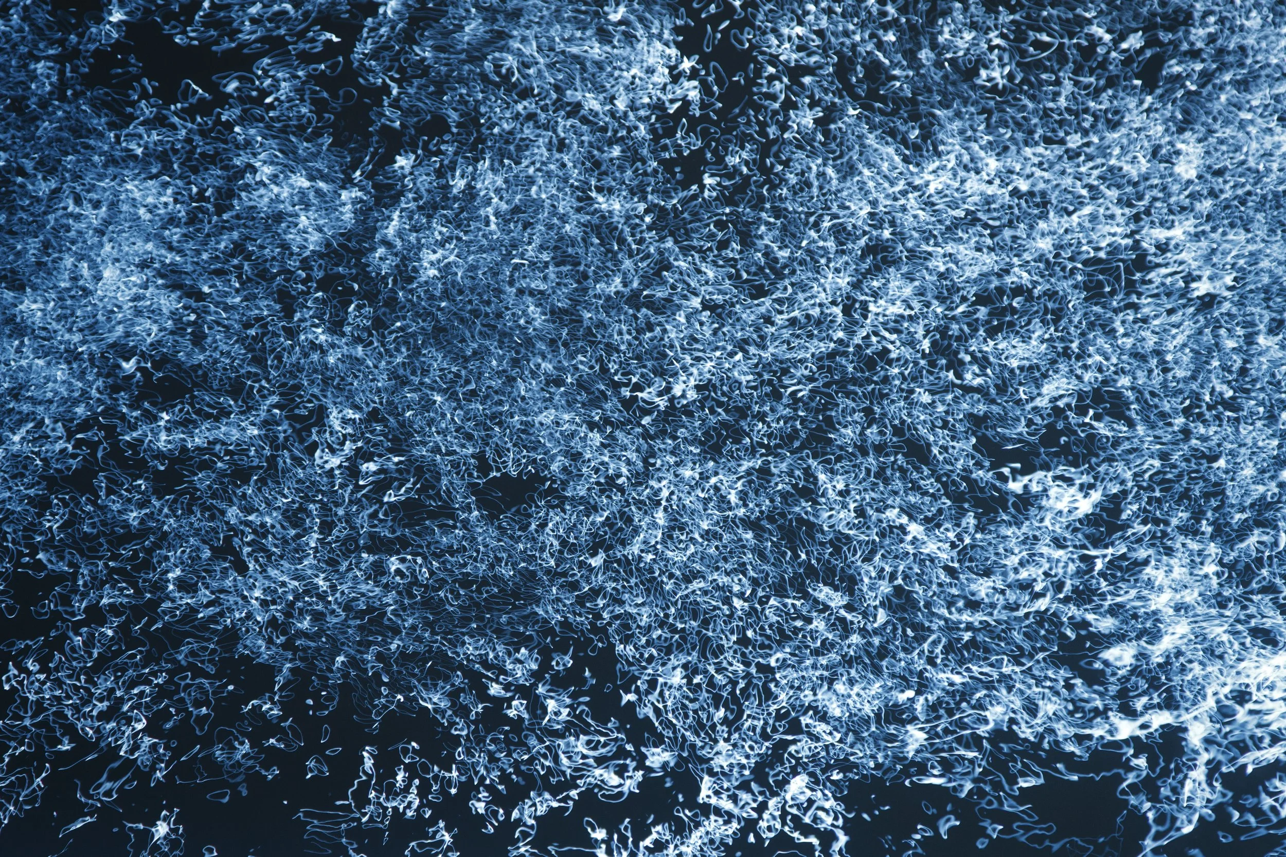 THE FEILD OF POSSIBILITY
2025