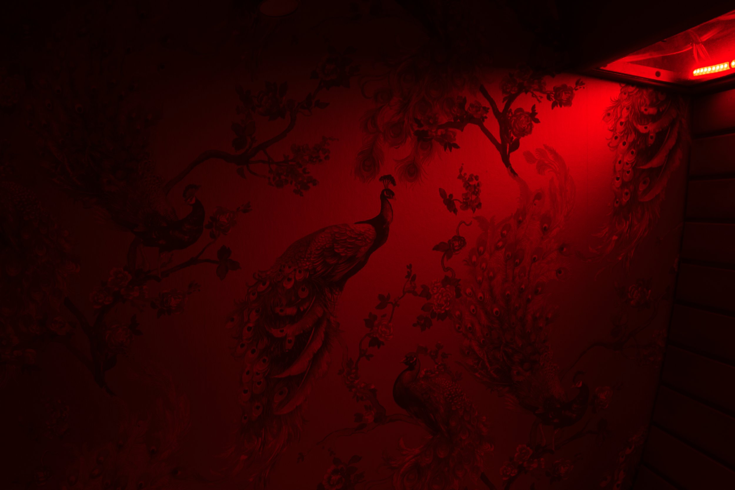 THE GLIMPSE OF SELF
2025