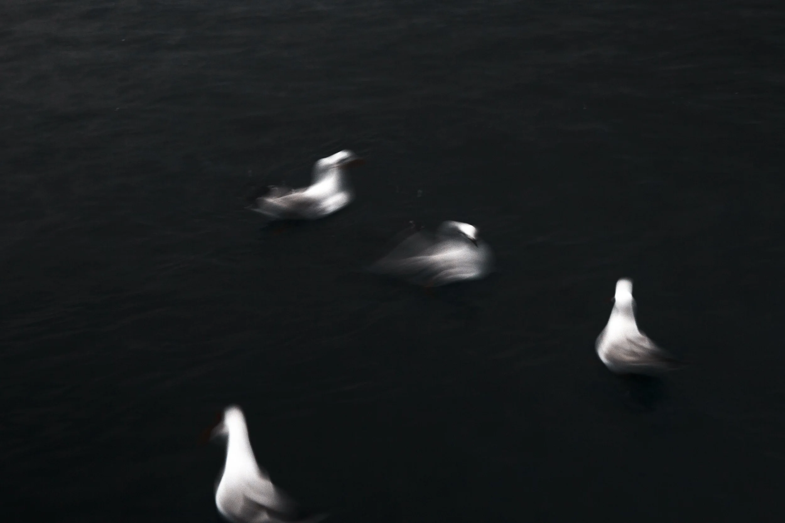 THE DIVIDING CURRENT
2025