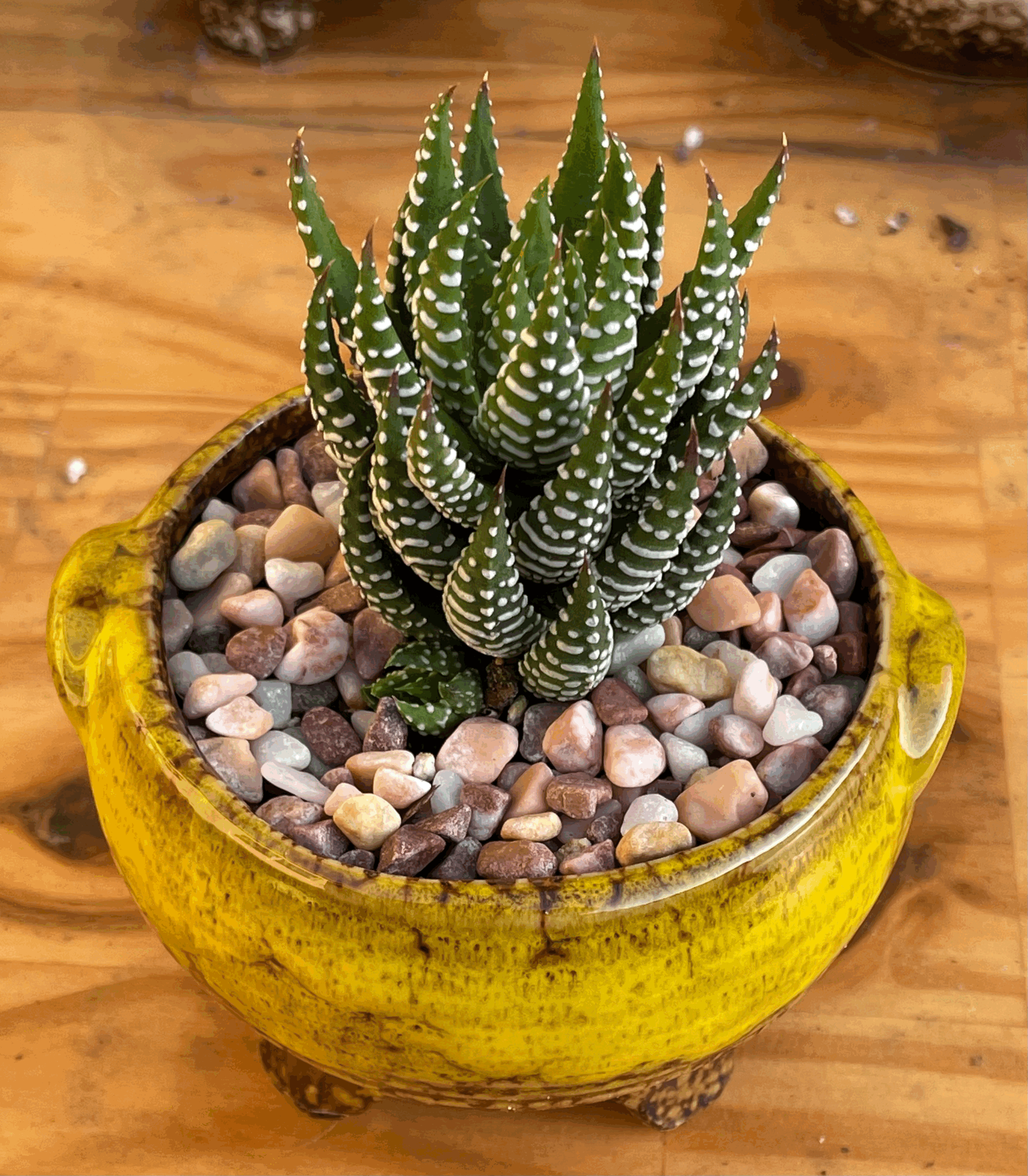 tempImageEzbwBL.gif