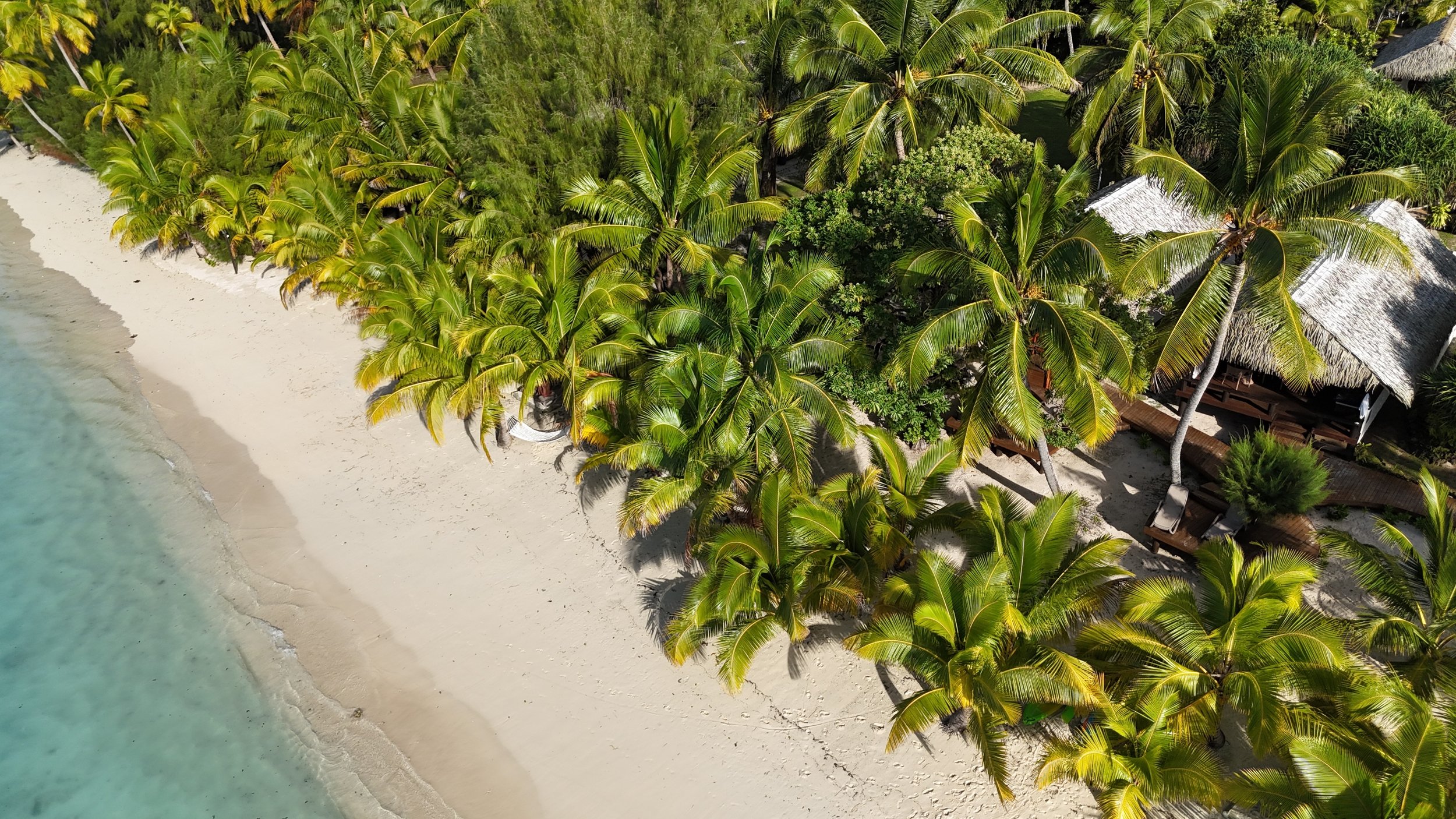 One-bedroom Beachfront Bungalows. Aitutaki Hotels and Resorts