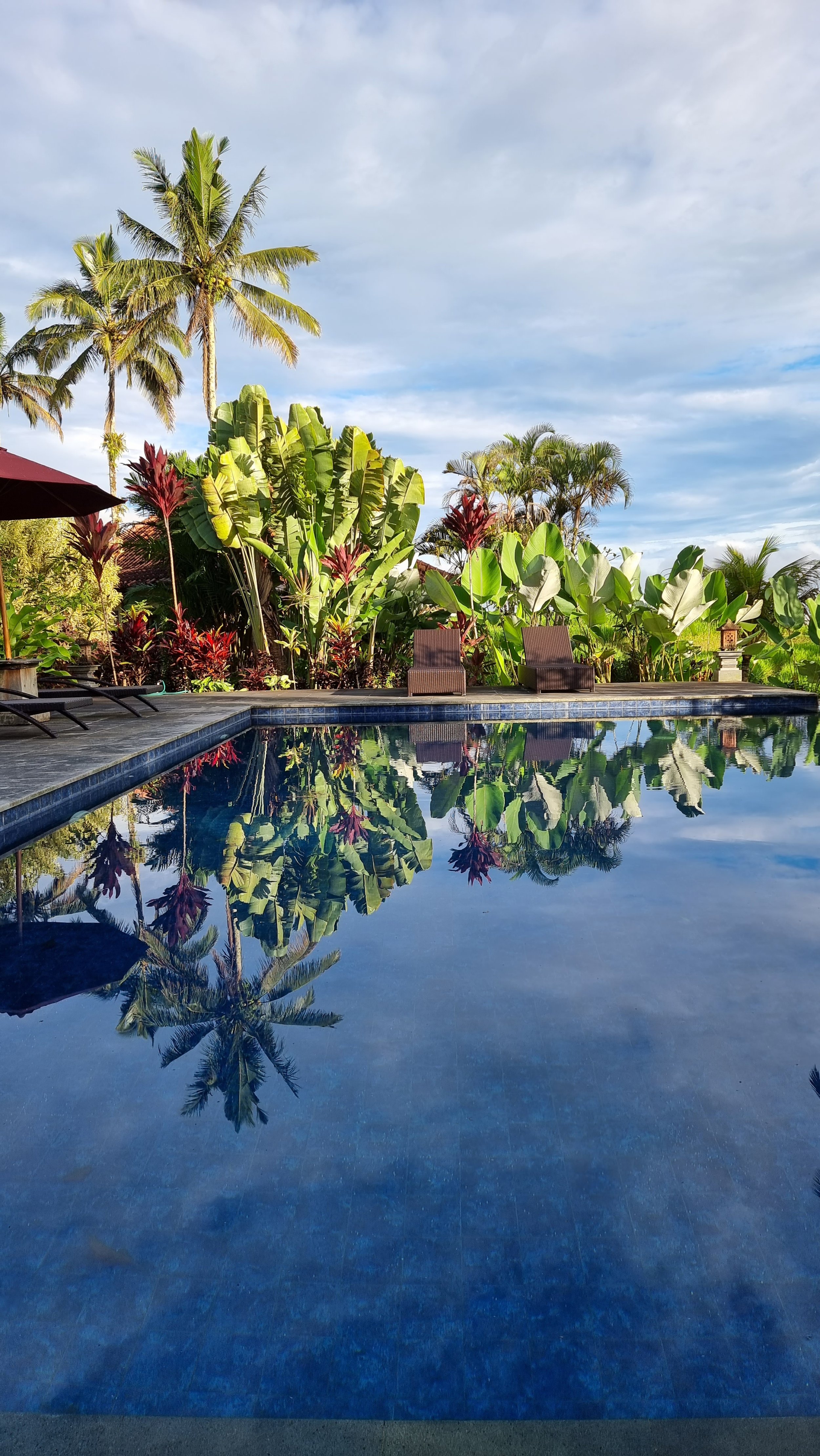 reflection swimming pool.jpg