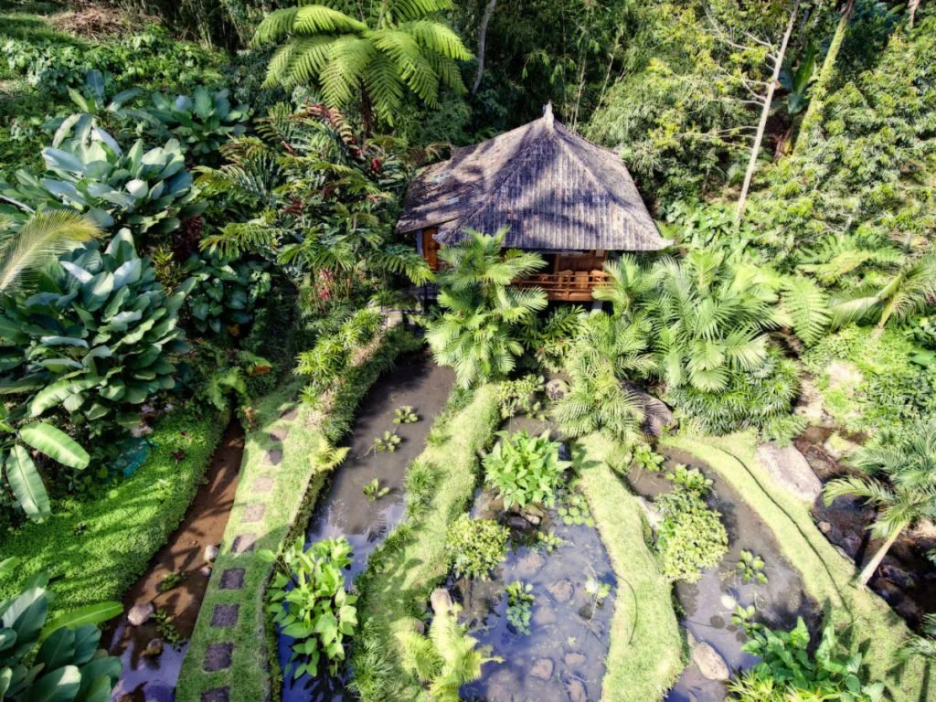 Spring-Water-overwater-bungalow-overhead-Bali-Eco-Stay.jpg-1024x768.jpg