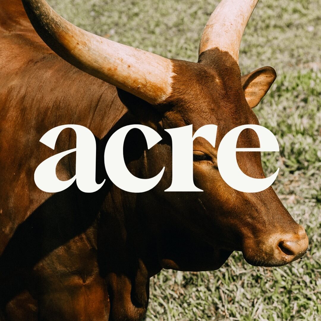 Acre Agency | Launched December 2023 🚀 

&ldquo;A new era of brand &amp; marketing excellence for agricultural &amp; regionally based businesses&rdquo;. Emma Williams, the founder of @acre_agency is on a mission to accelerate the pace toward a lands