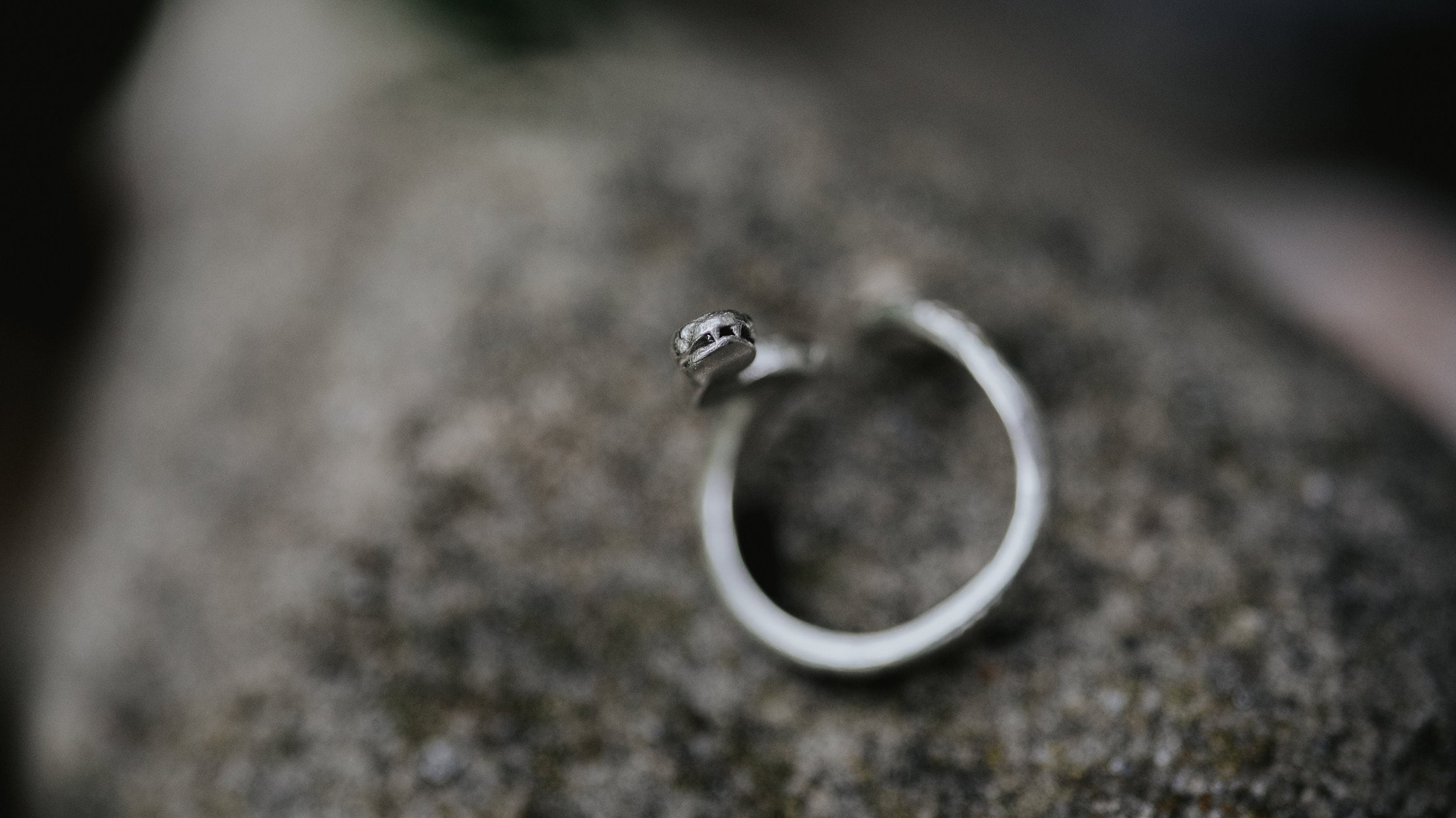 https://i.etsystatic.com/27271482/r/il/34b169/4874280679/il_fullxfull.4874280679_iwof.jpg