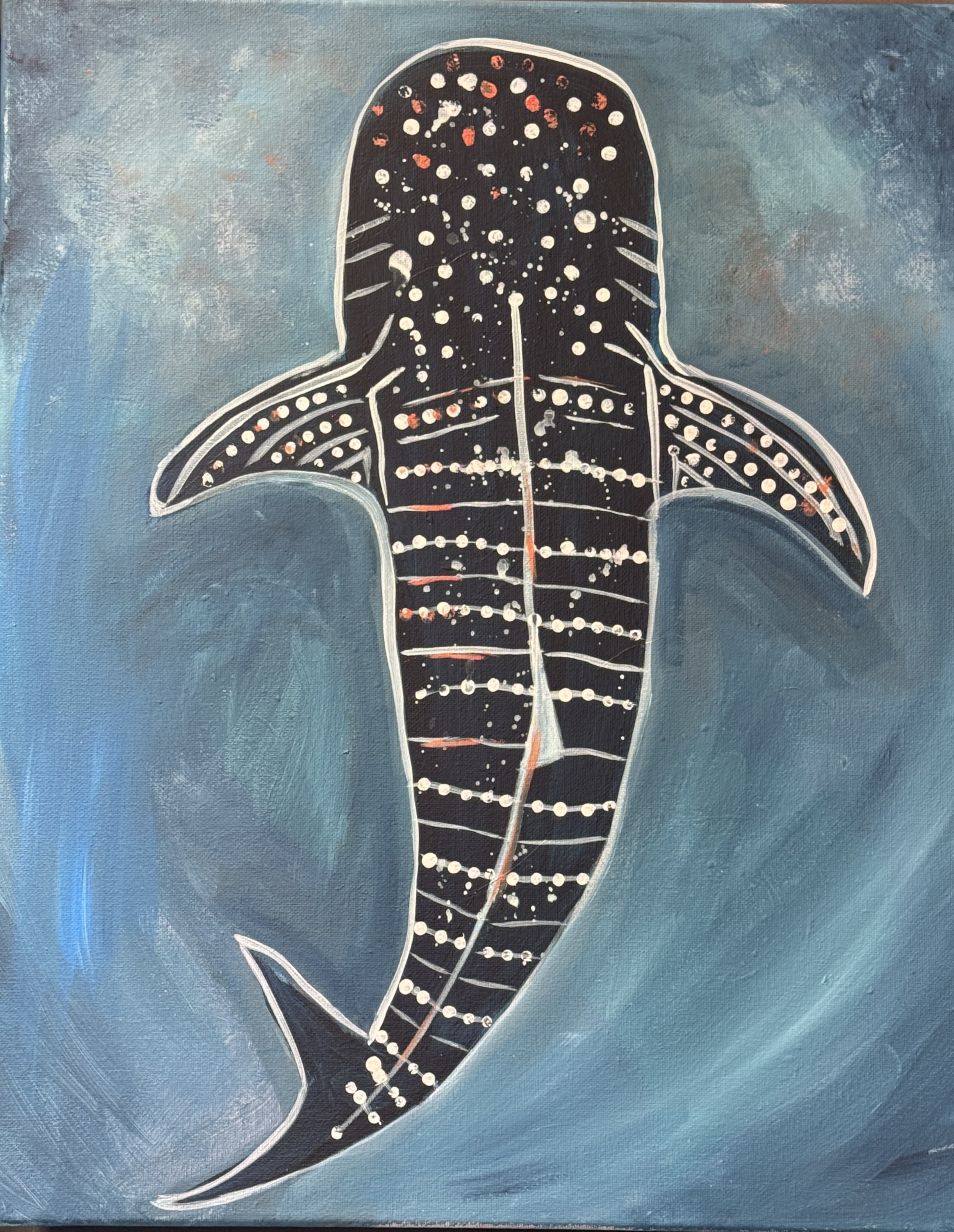 Tuesday 29th September - Whale Shark 7-9.30 pm- PUBLIC SESSION
