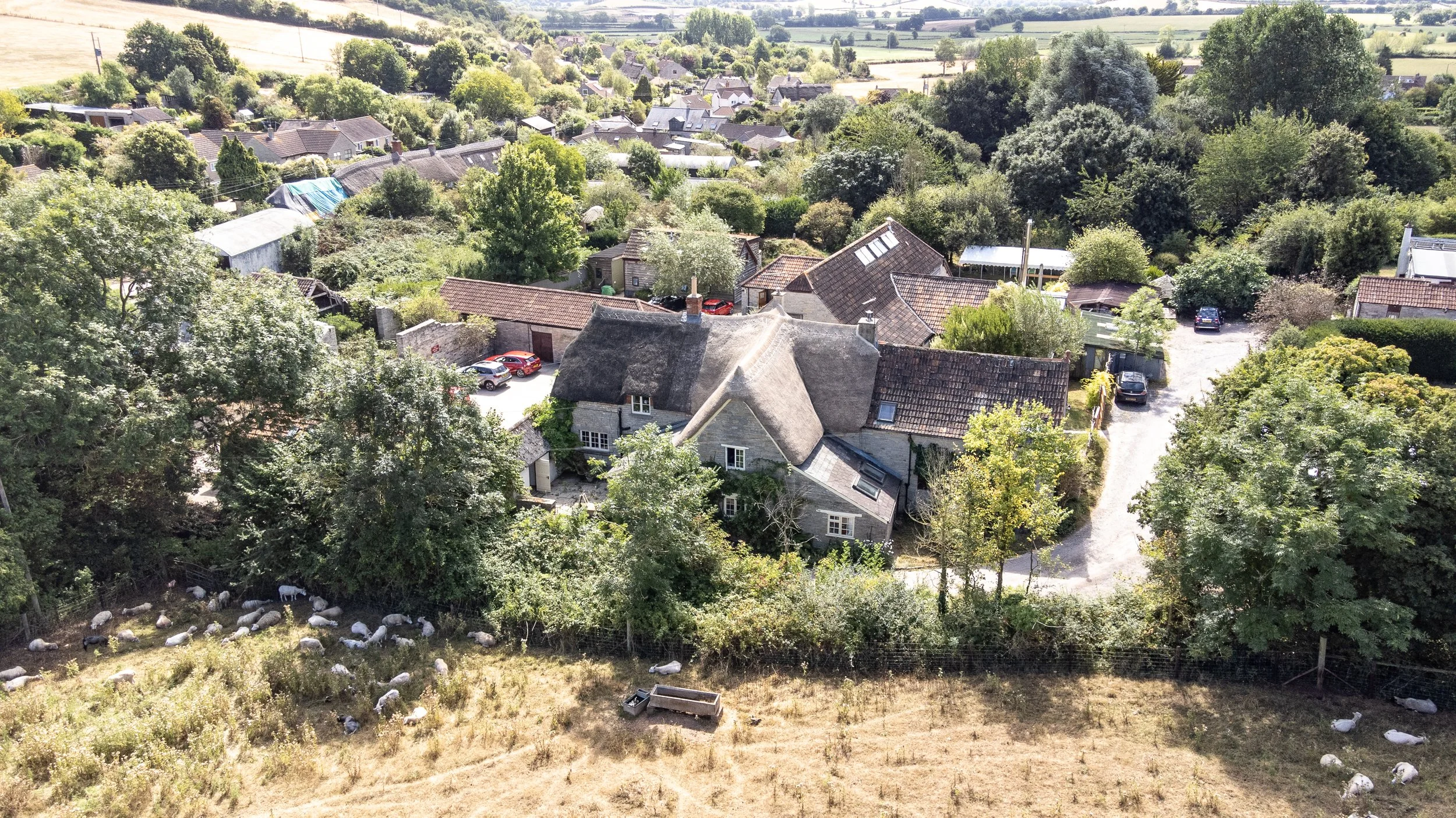 Aerial view of a rural village with houses, trees, and greenery, with a flock of sheep grazing in the foreground.