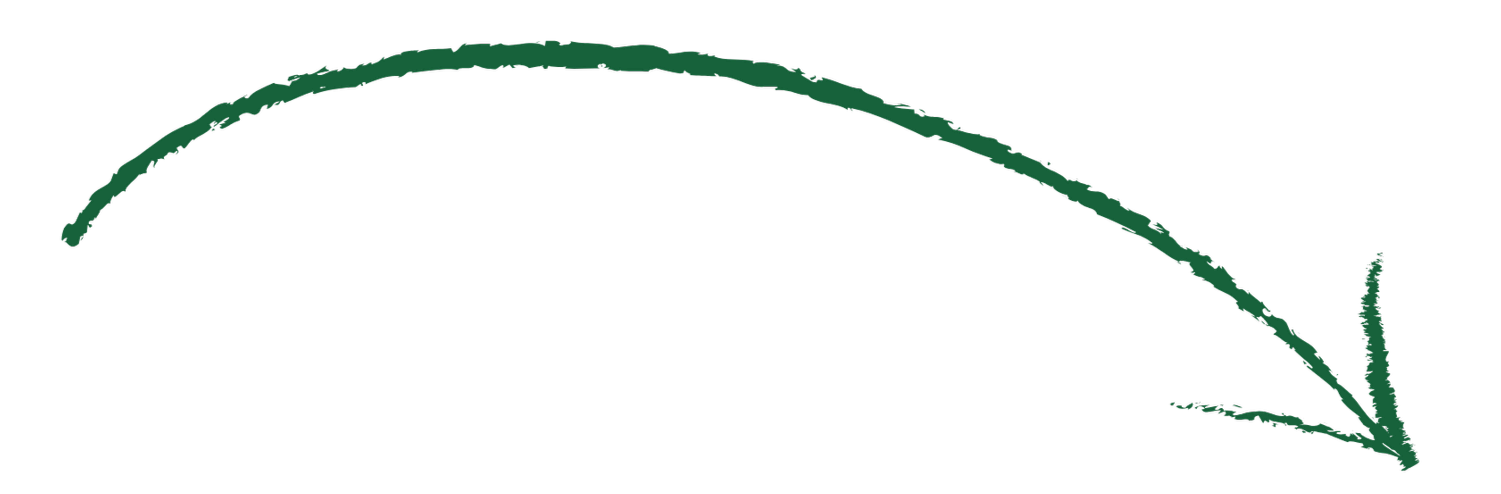 Green arrow pointing downward and to the right, with a thick, textured stroke.