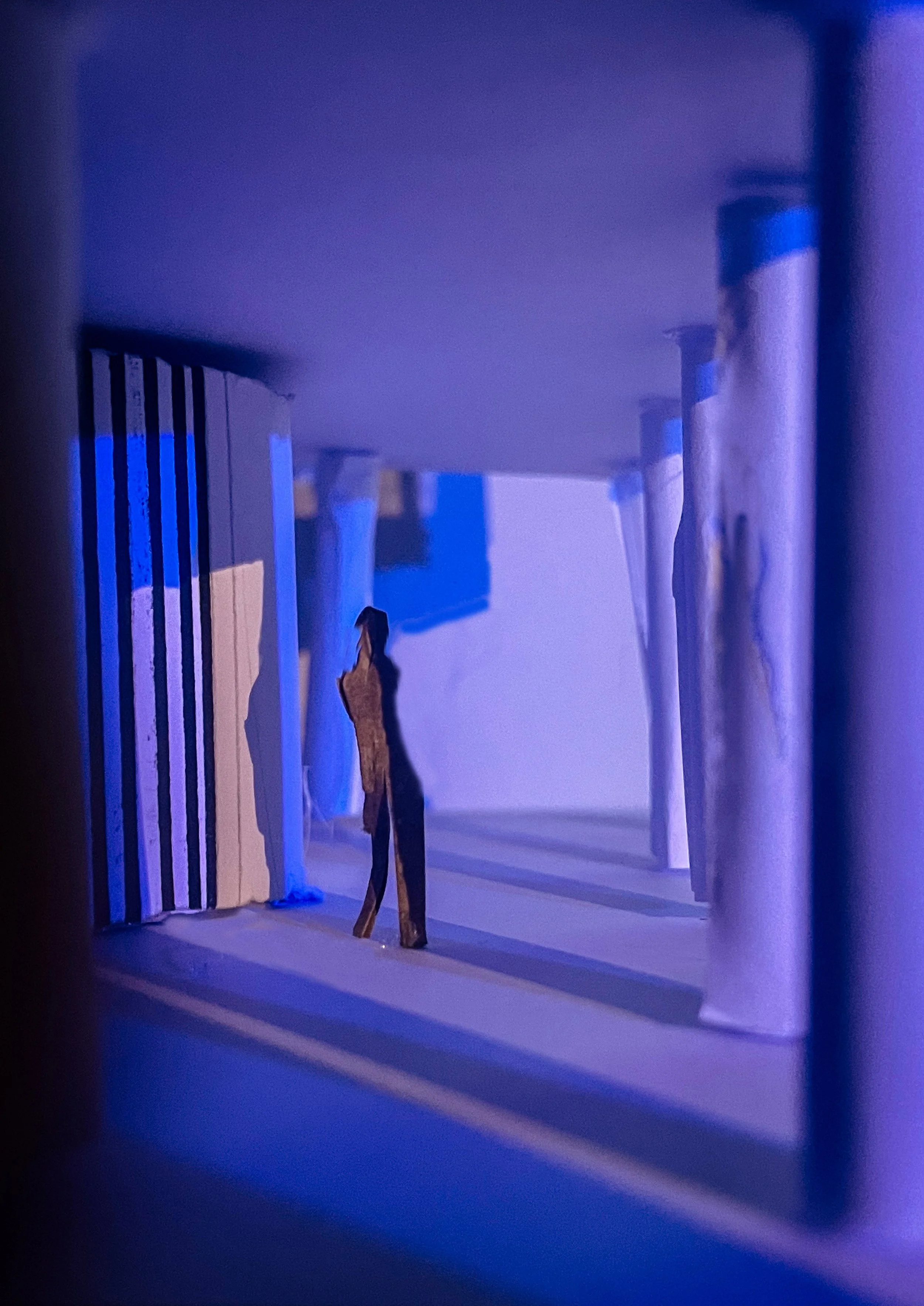 Poppy Light study.jpg