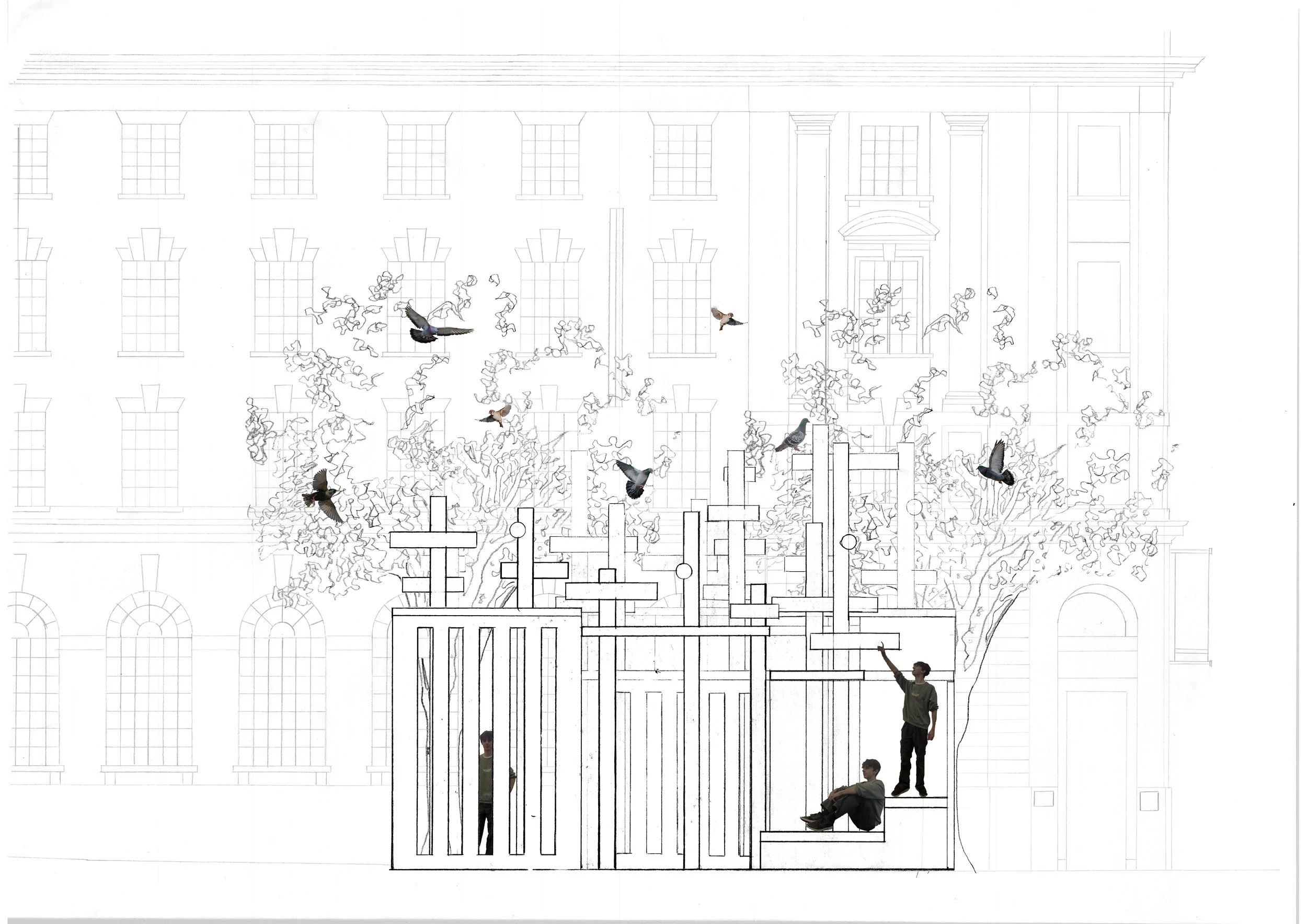 Finley Final Elevation with Pigeons.jpg