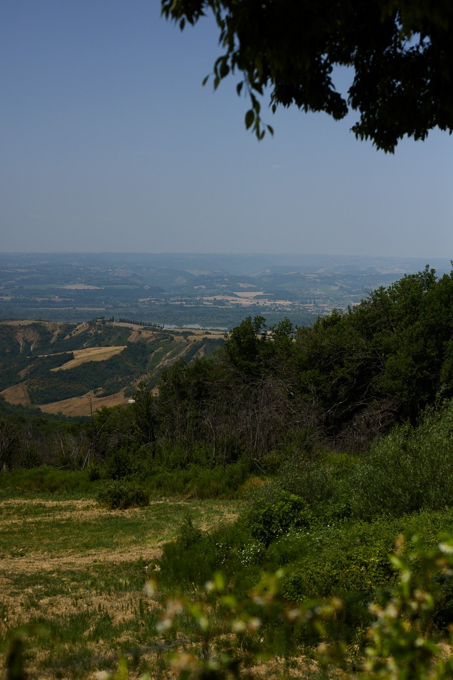 Aketch Joy Williams 2385.jpg