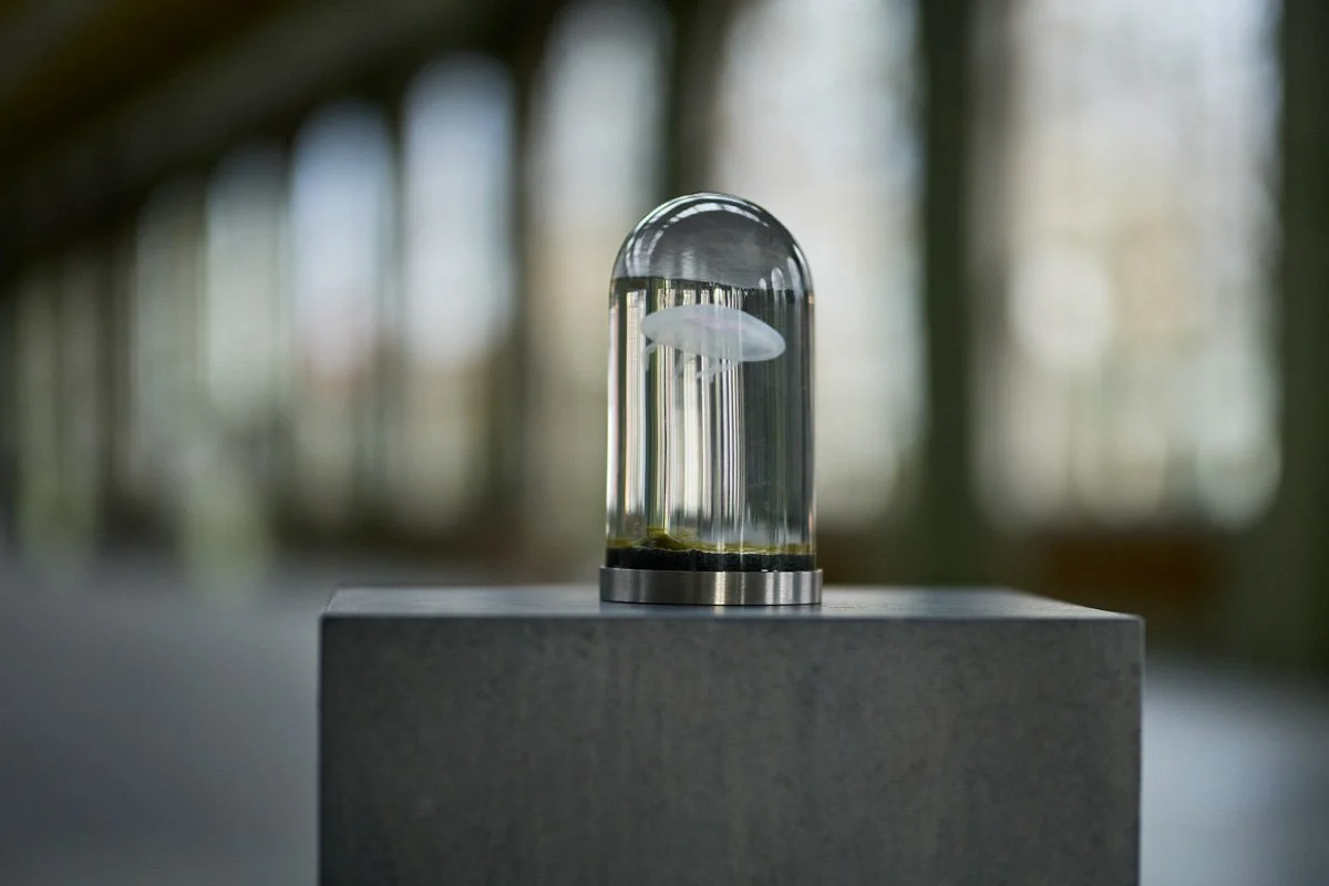 Lokomotiv Værkstedet Oddities _SF_9862.jpg