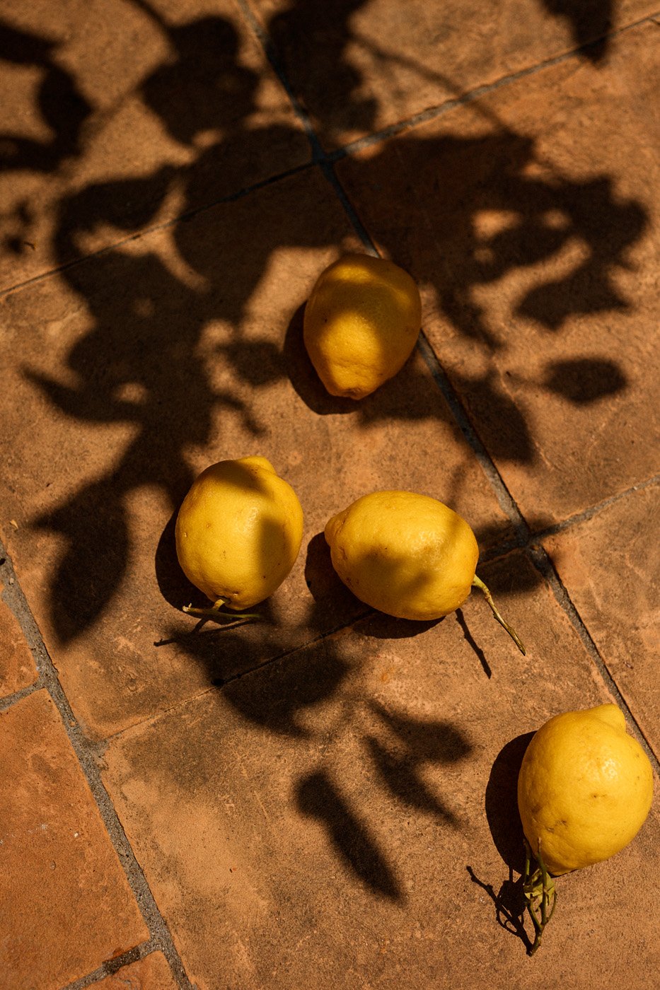 Aketch Joy Williams 2381.jpg