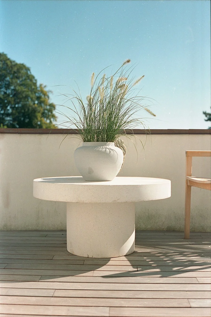 Remee 2021 Contax 005.jpg