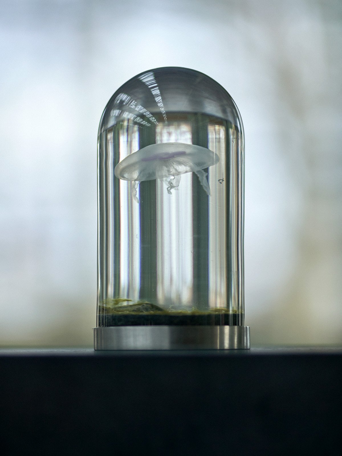 Lokomotiv Værkstedet Oddities _SF_9852.jpg