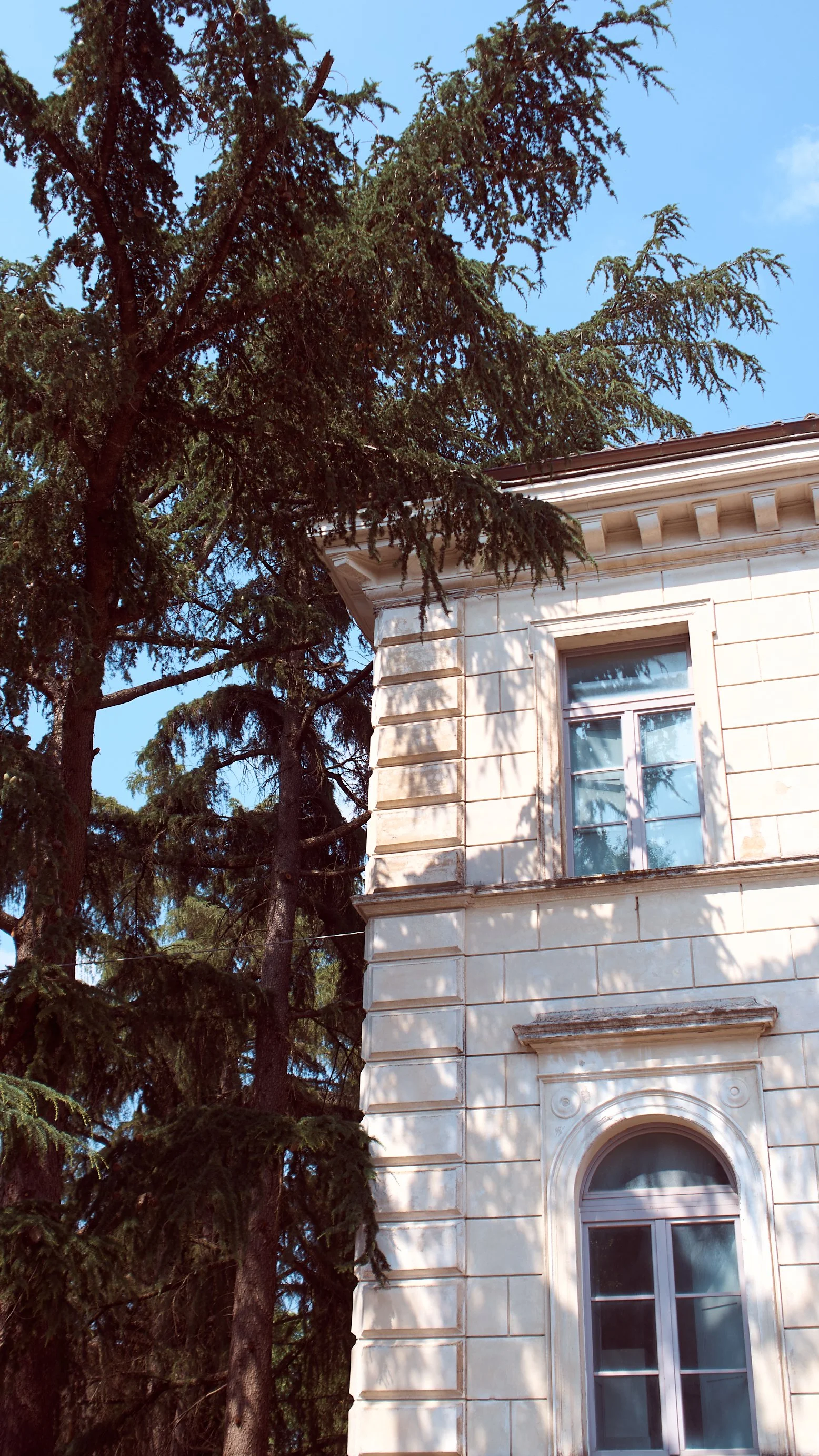 Charlotte Hagoort Random 122.jpg