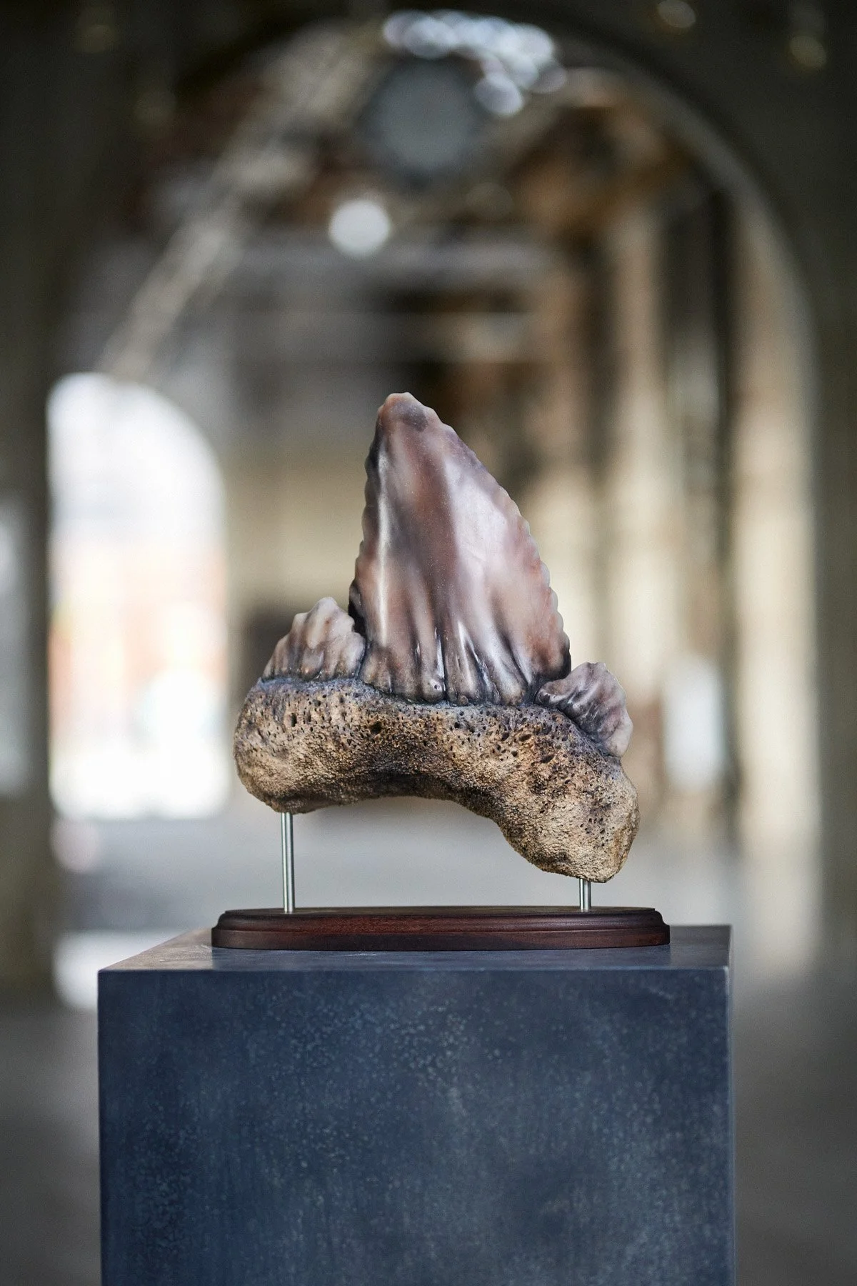 Lokomotiv Værkstedet Oddities _SF_9744.jpg