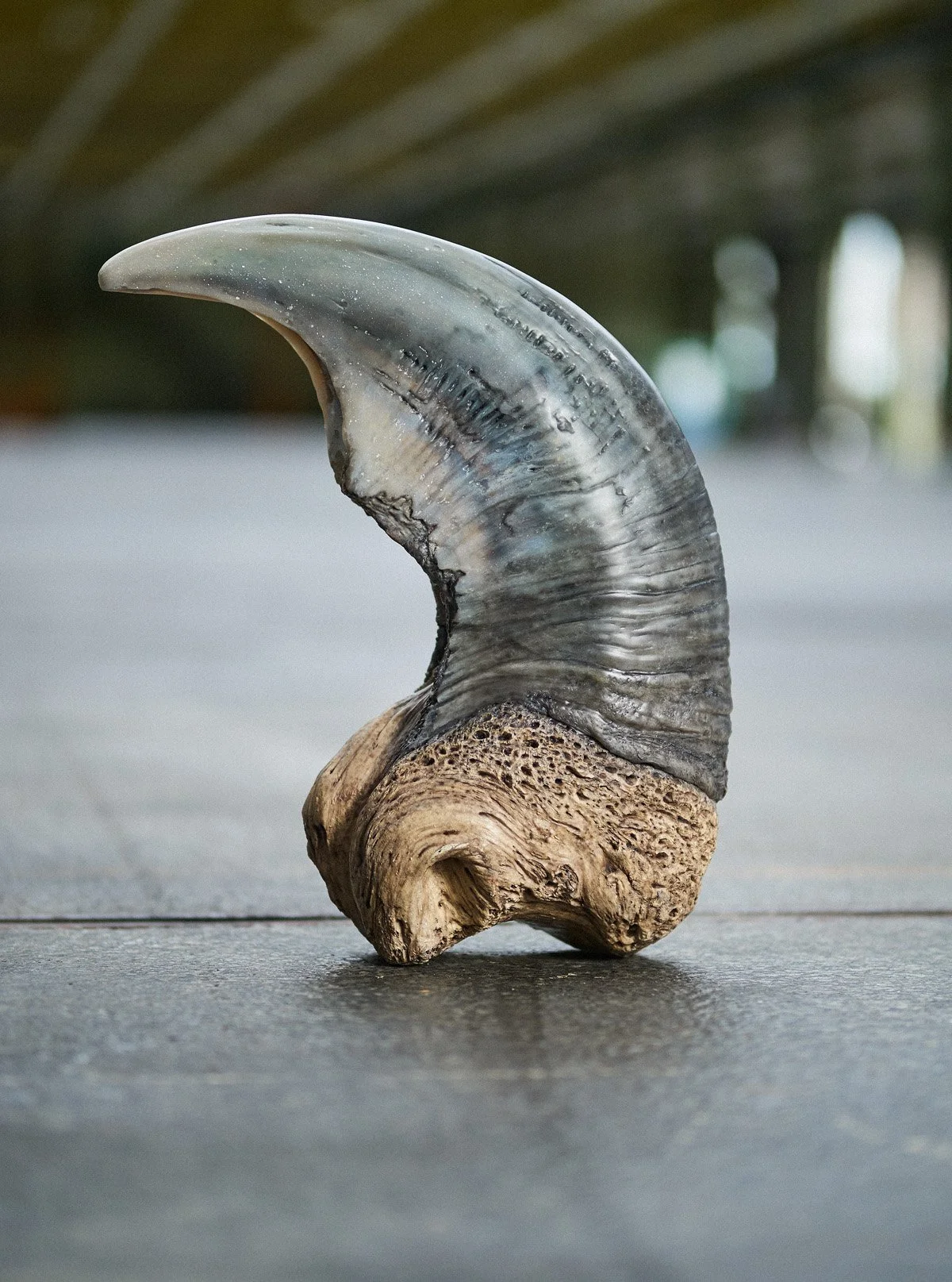 Lokomotiv Værkstedet Oddities _SF_9801.jpg