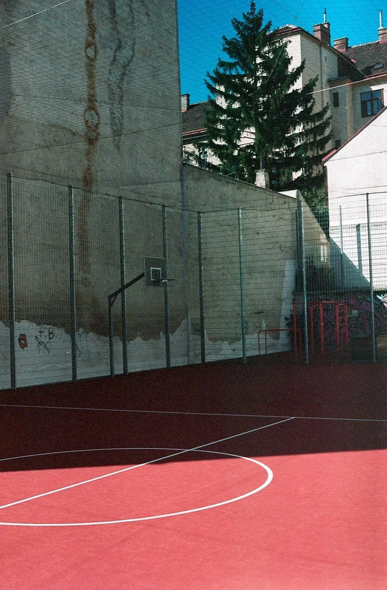 _C3_98strig+September+2021+Contax+91b.jpg