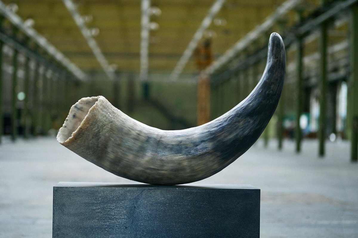 Lokomotiv Værkstedet Oddities _SF_9843.jpg