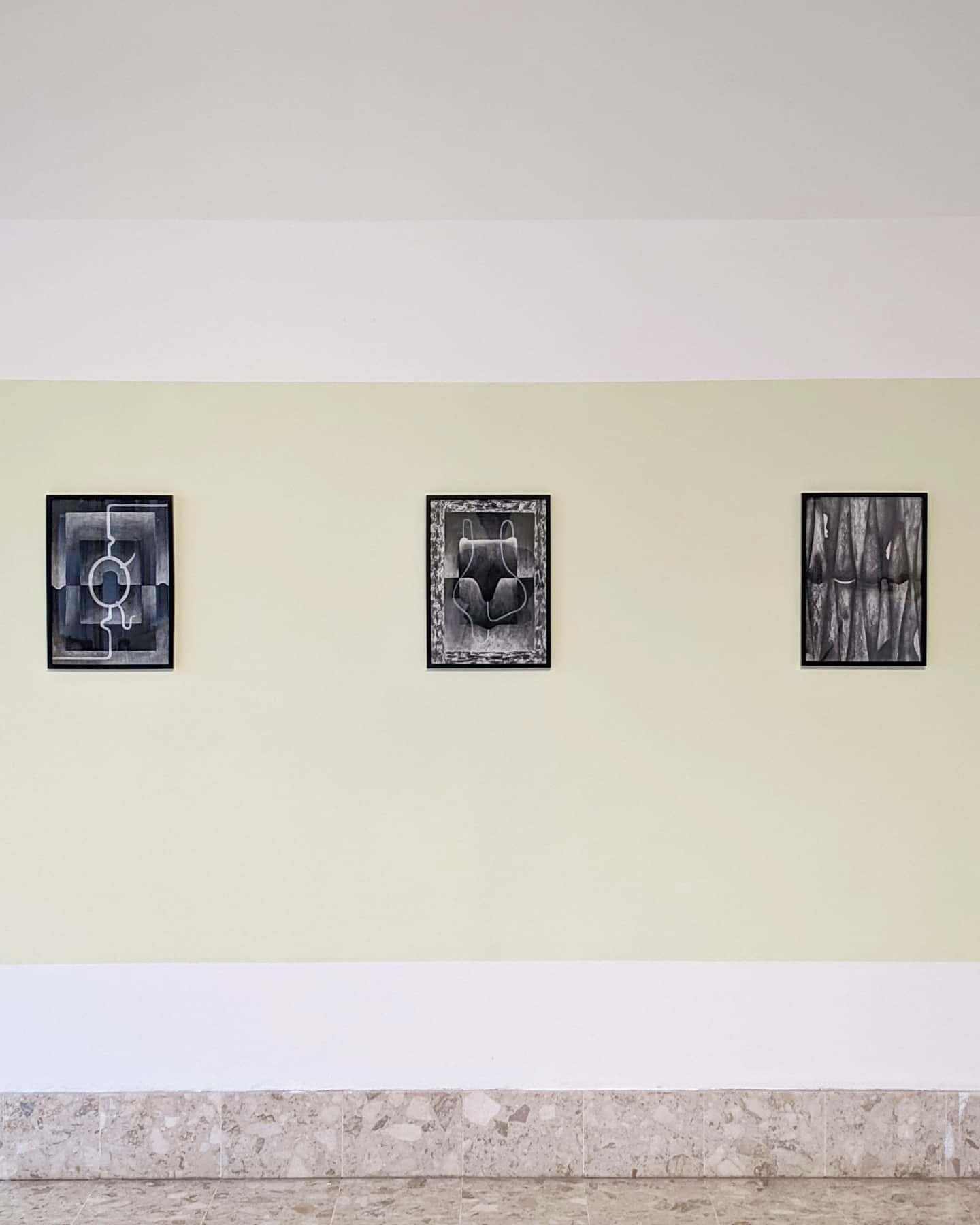 Same goes with these three, but here they are together in the gallery &amp; some closeups 🏴

Viewfinder, Charcoal &amp; Chalk on paper, A3, 2021

Subject (Feeder), Charcoal &amp; Chalk on paper, A3, 2021

Silhouettes, Charcoal on paper, A3, 2021