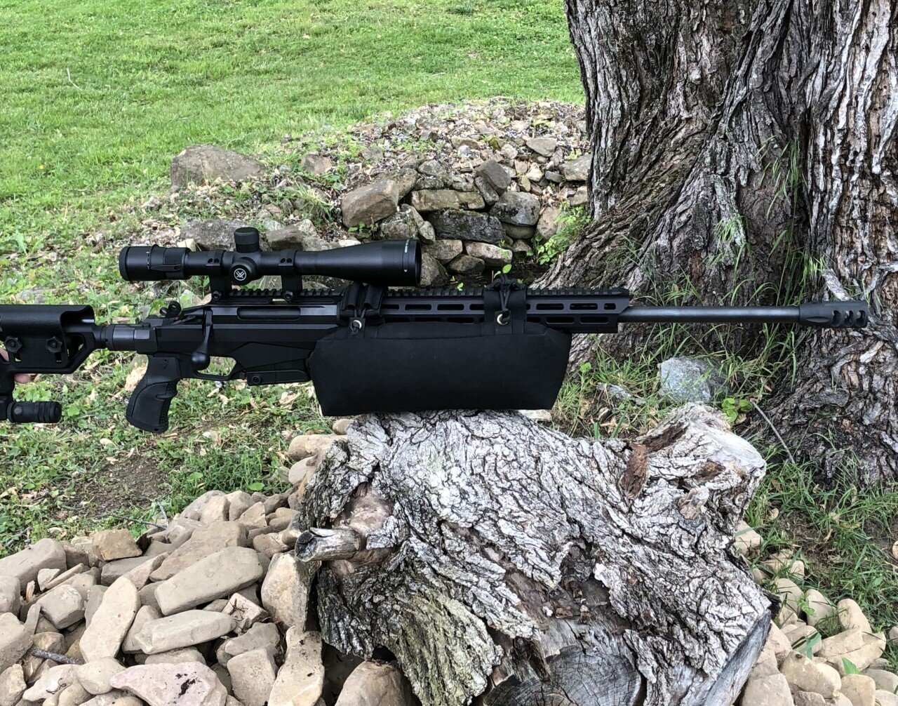 mp10.jpg