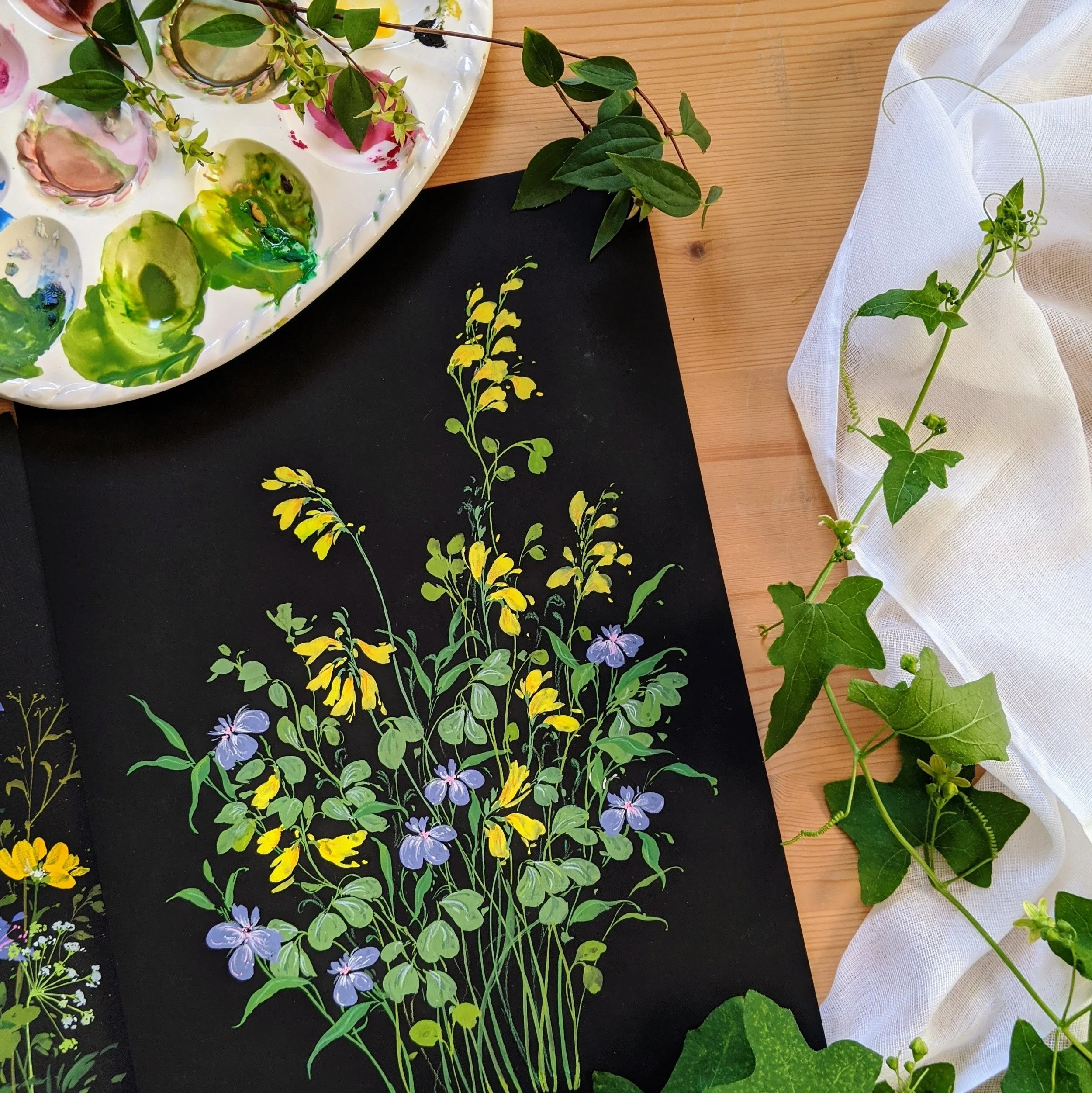 Yellow Corydalis Flowers