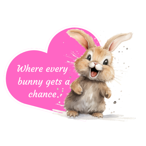 Save A Bun Rabbit Rescue