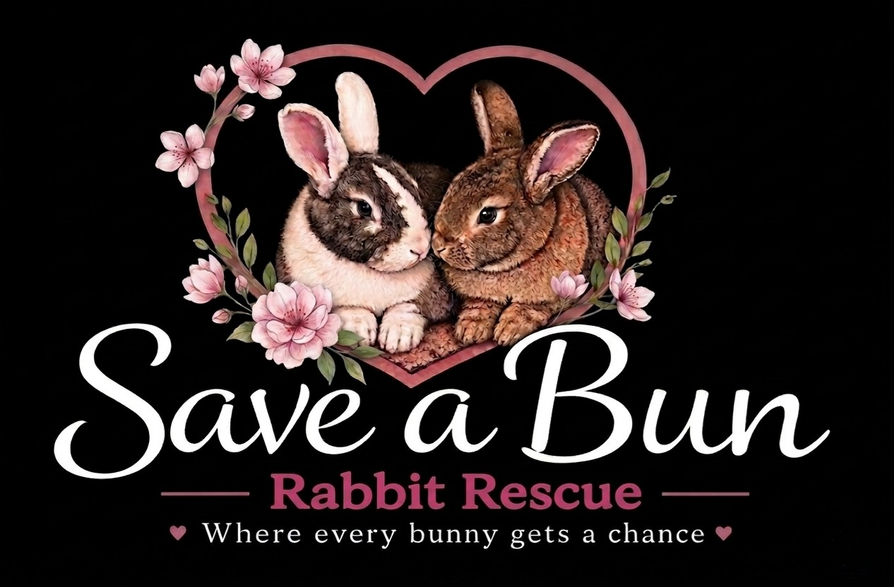 Save A Bun Rabbit Rescue