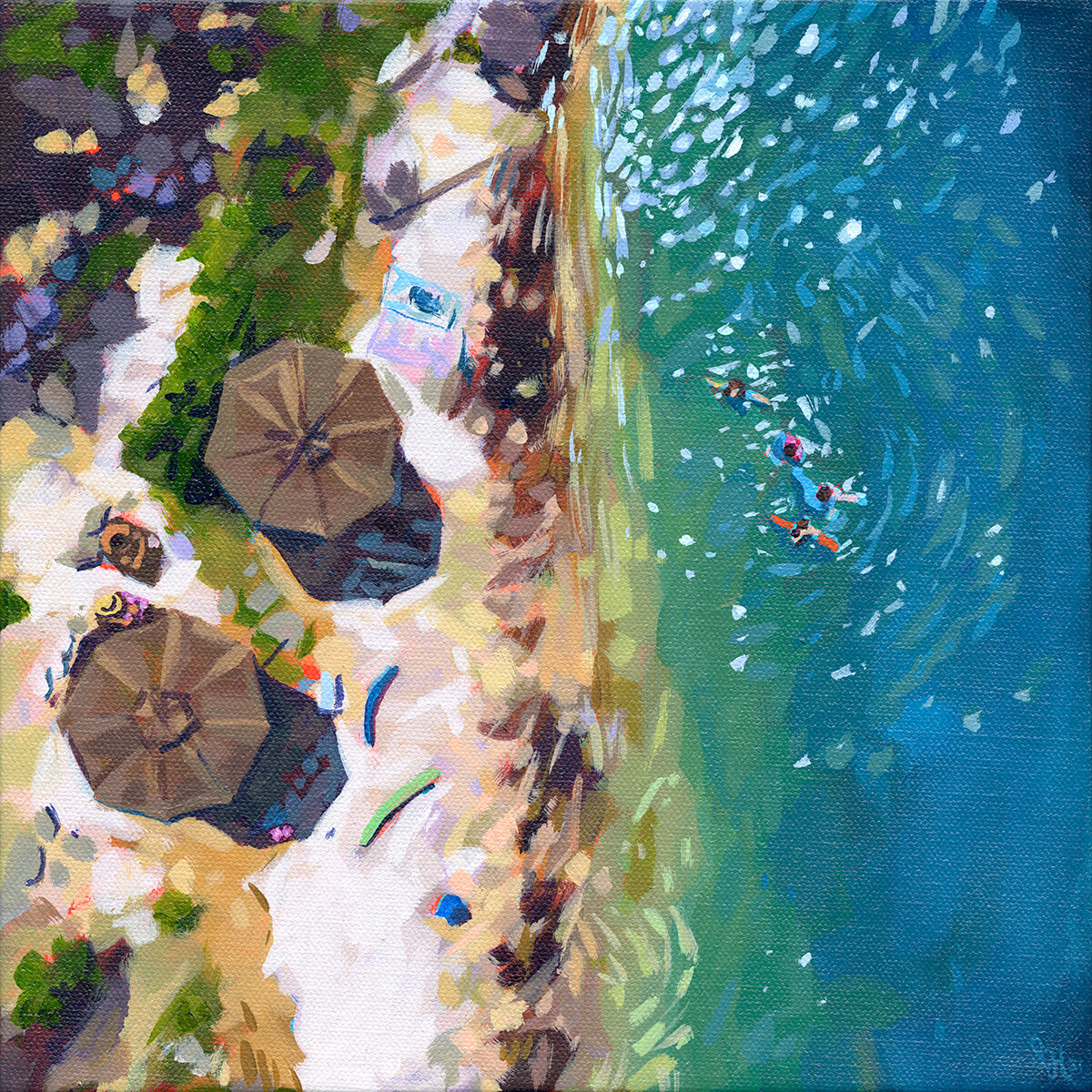aerial of the cove_preview.jpg